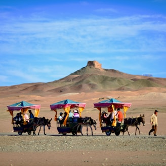 a group of people riding on the back of a horse drawn carriage