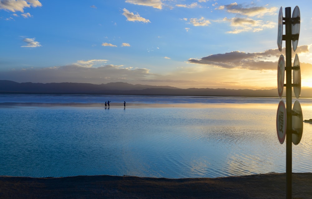 a couple of people standing in the middle of a body of water