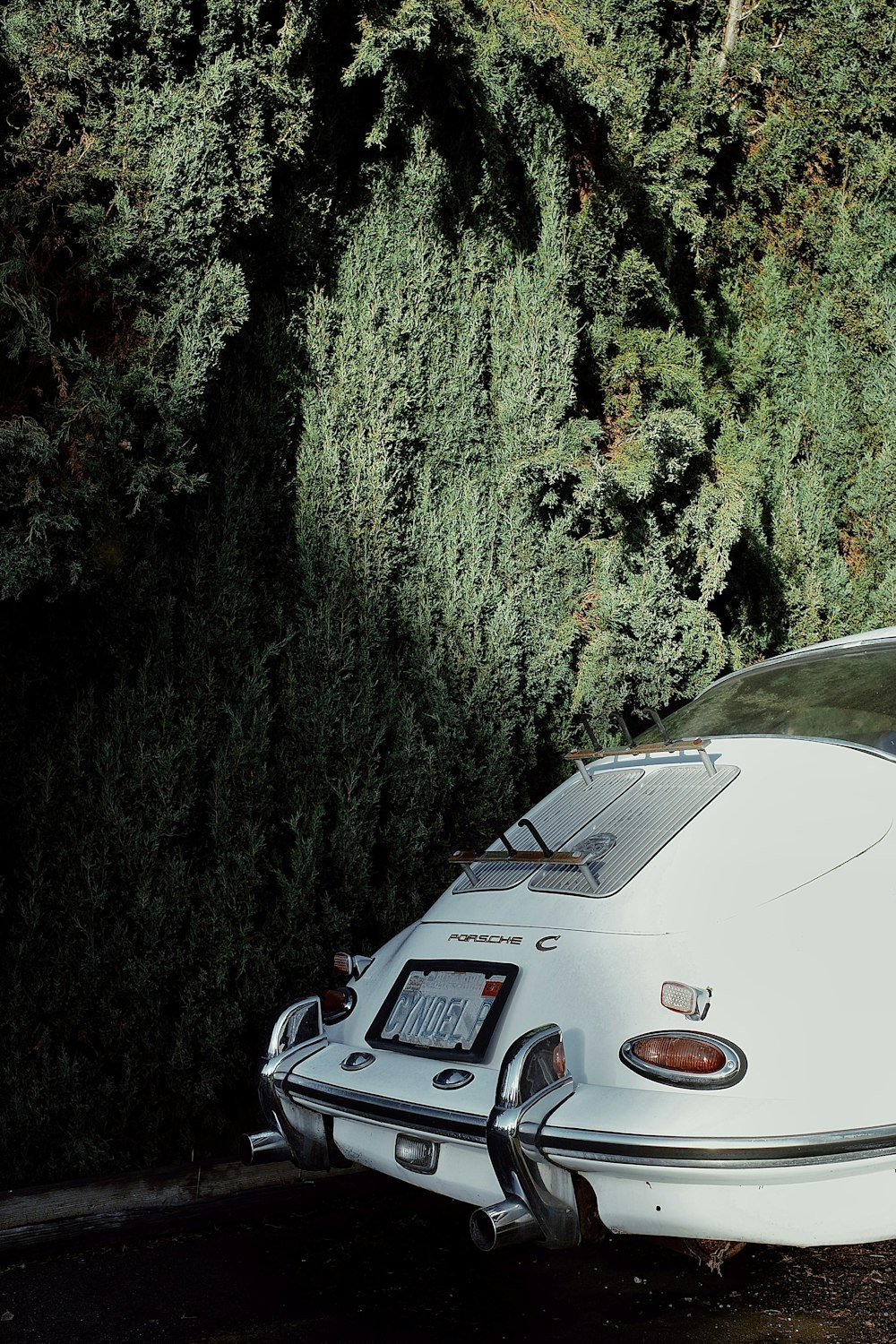 a white car parked in front of a lush green forest