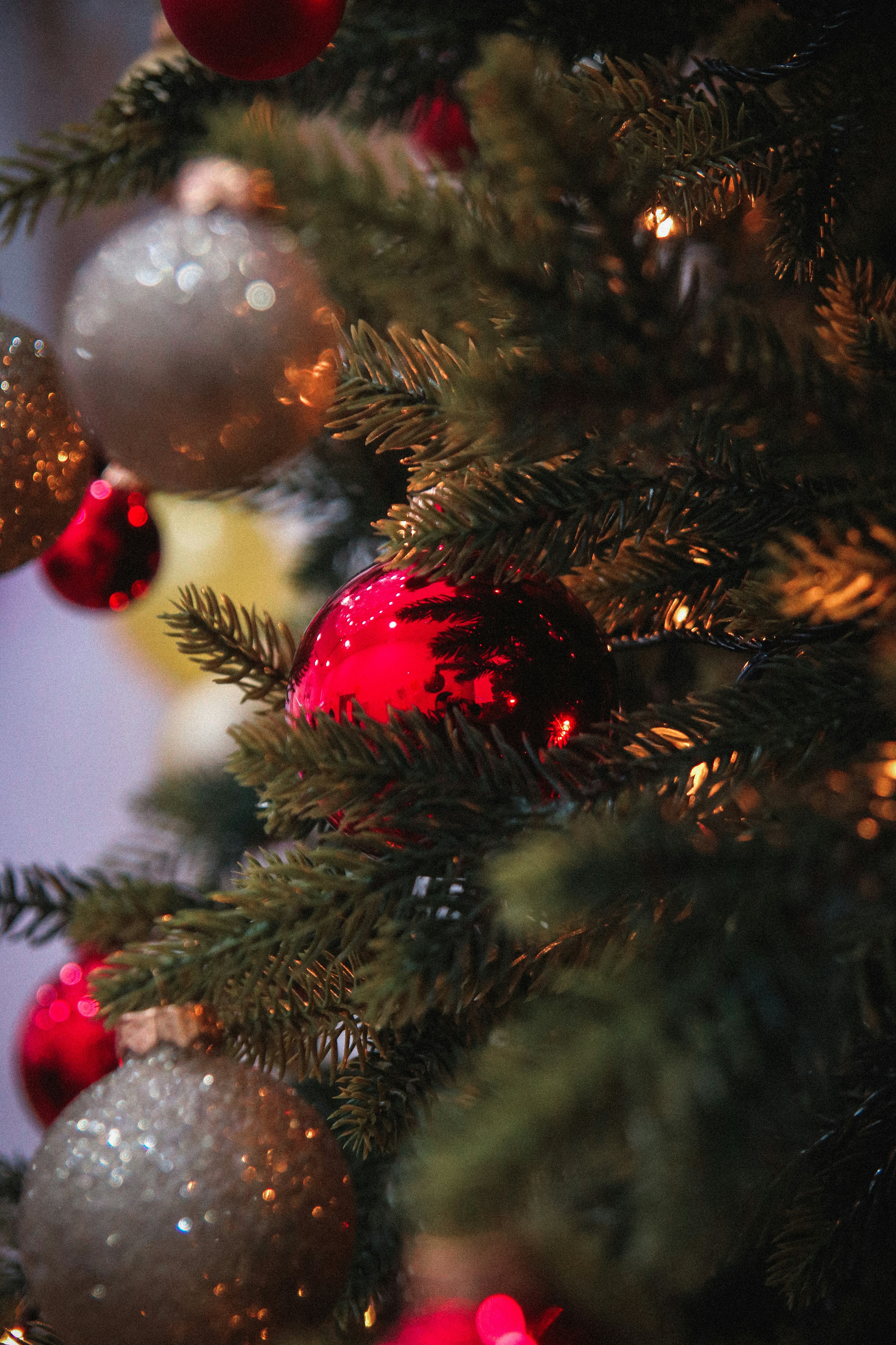 Choose from a curated selection of Christmas tree photos. Always free on Unsplash.