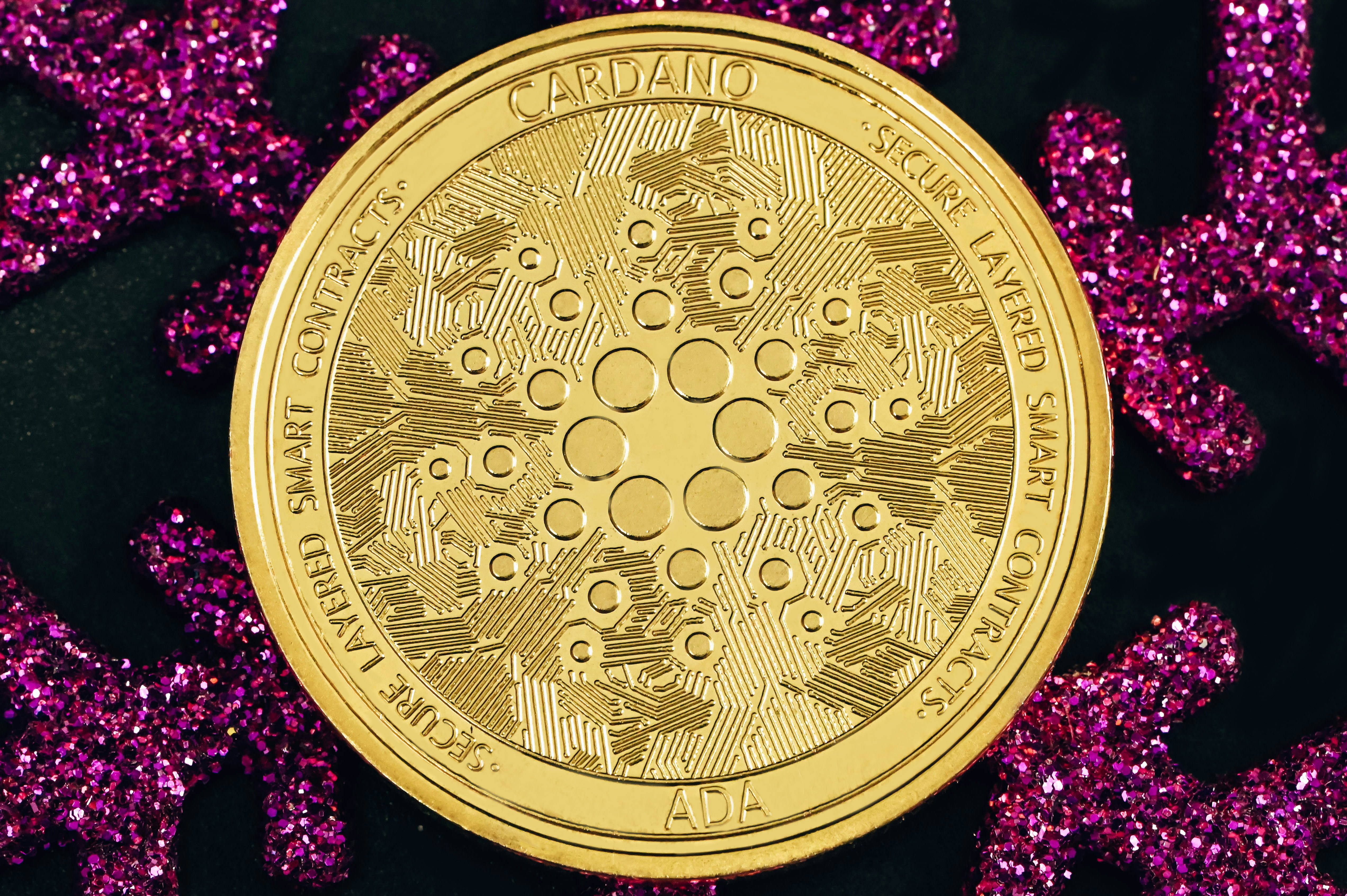 Close-up of a Cardano coin
