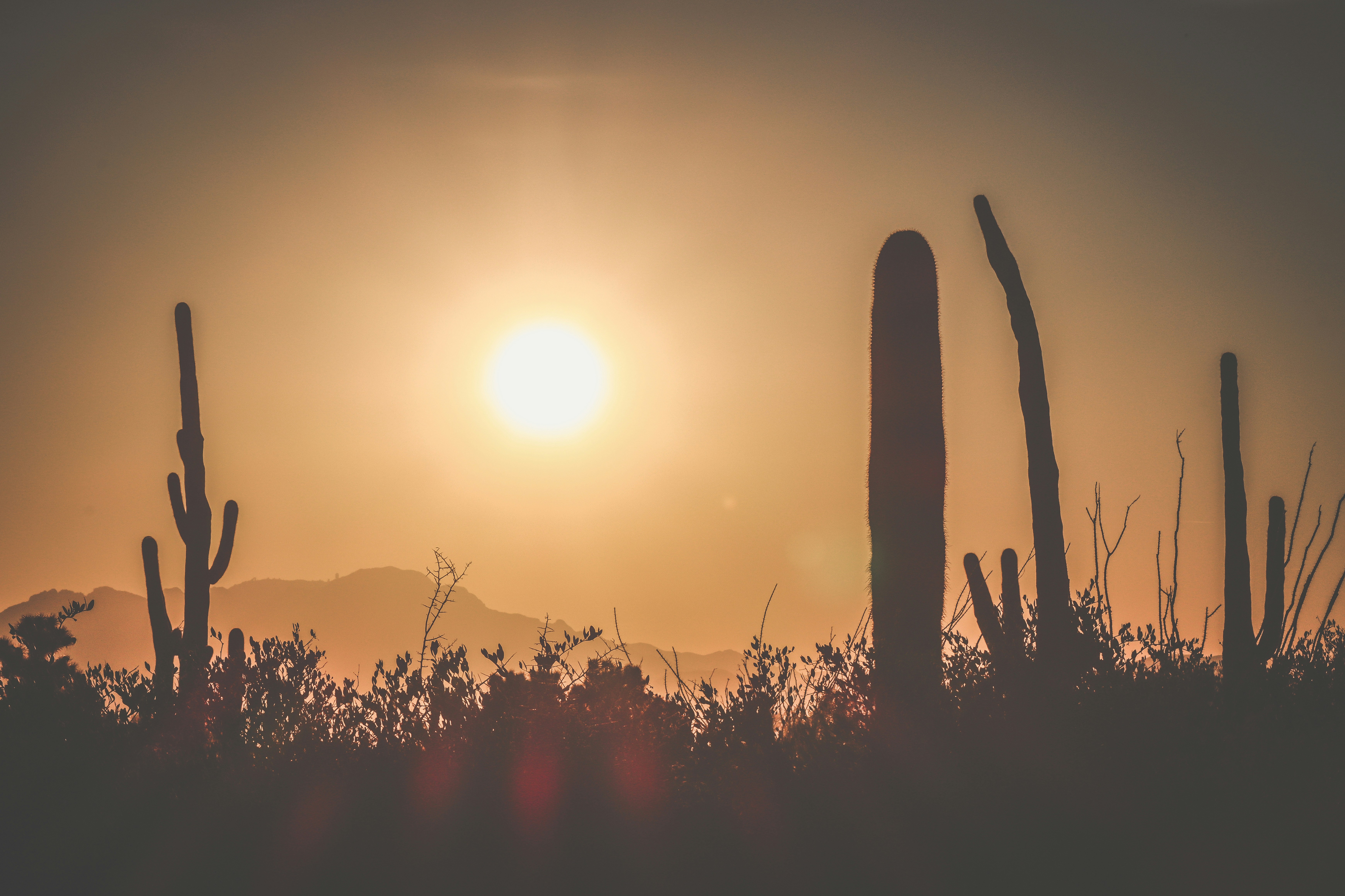 Photo by righteousvisuals