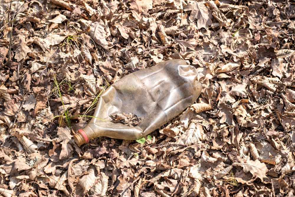 an empty glass bottle laying on the ground