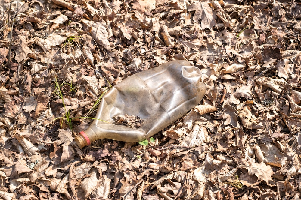 Una botella de vidrio vacía tirada en el suelo