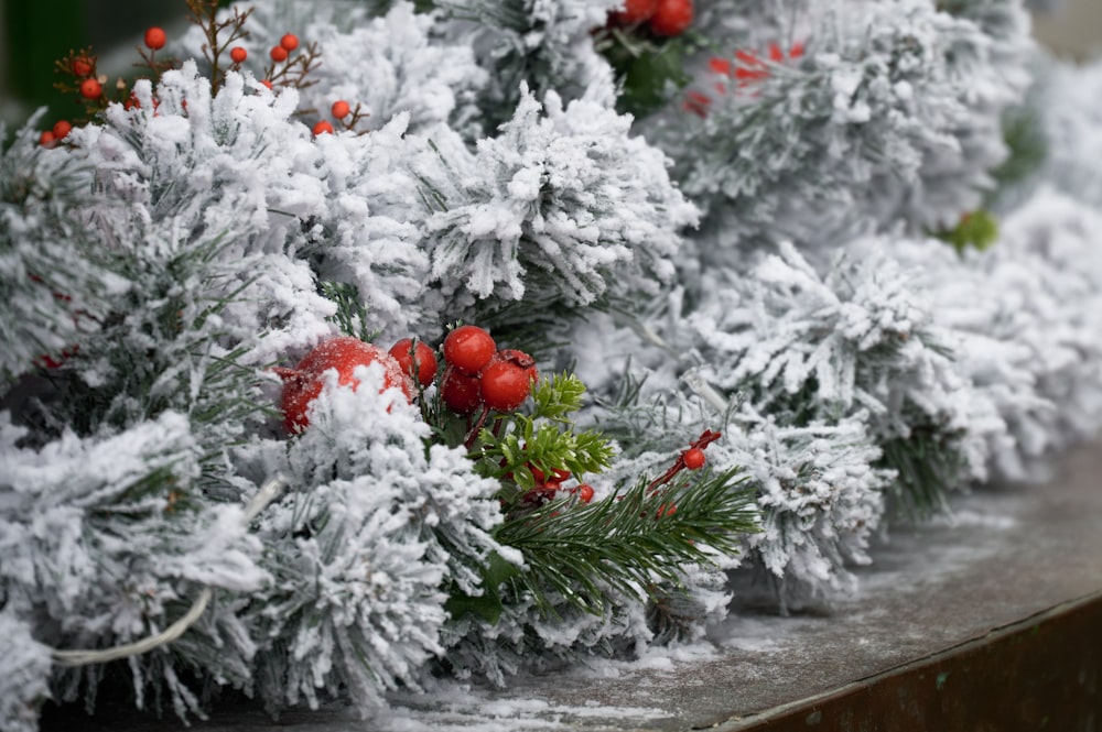 a close up of a bunch of snow covered trees