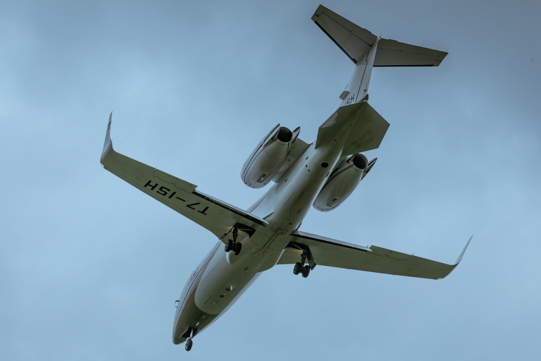 a large jetliner flying through a cloudy blue sky, Fast birds