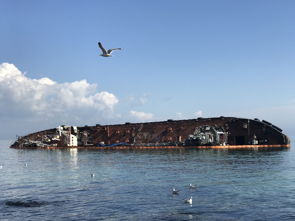 a bird flying over a boat in the ocean