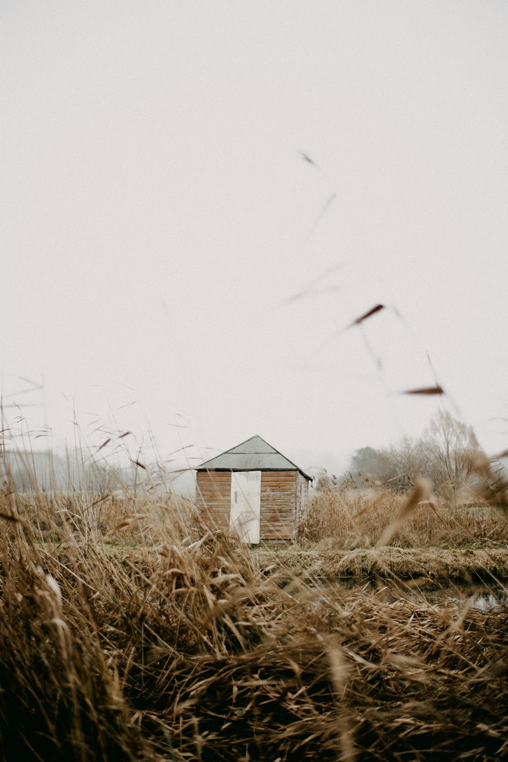 a house in the middle of a field with tall grass