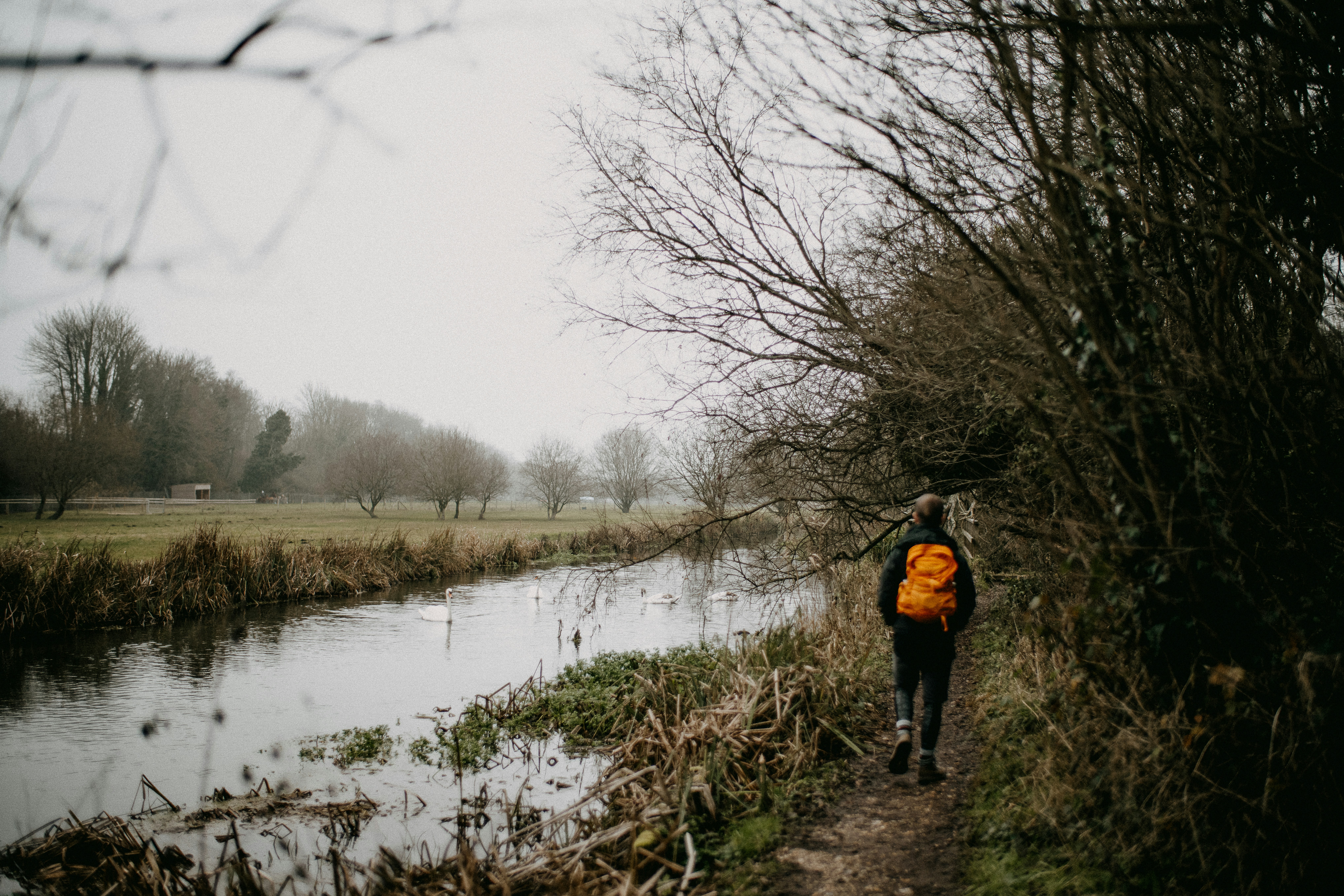 Photo by anniespratt