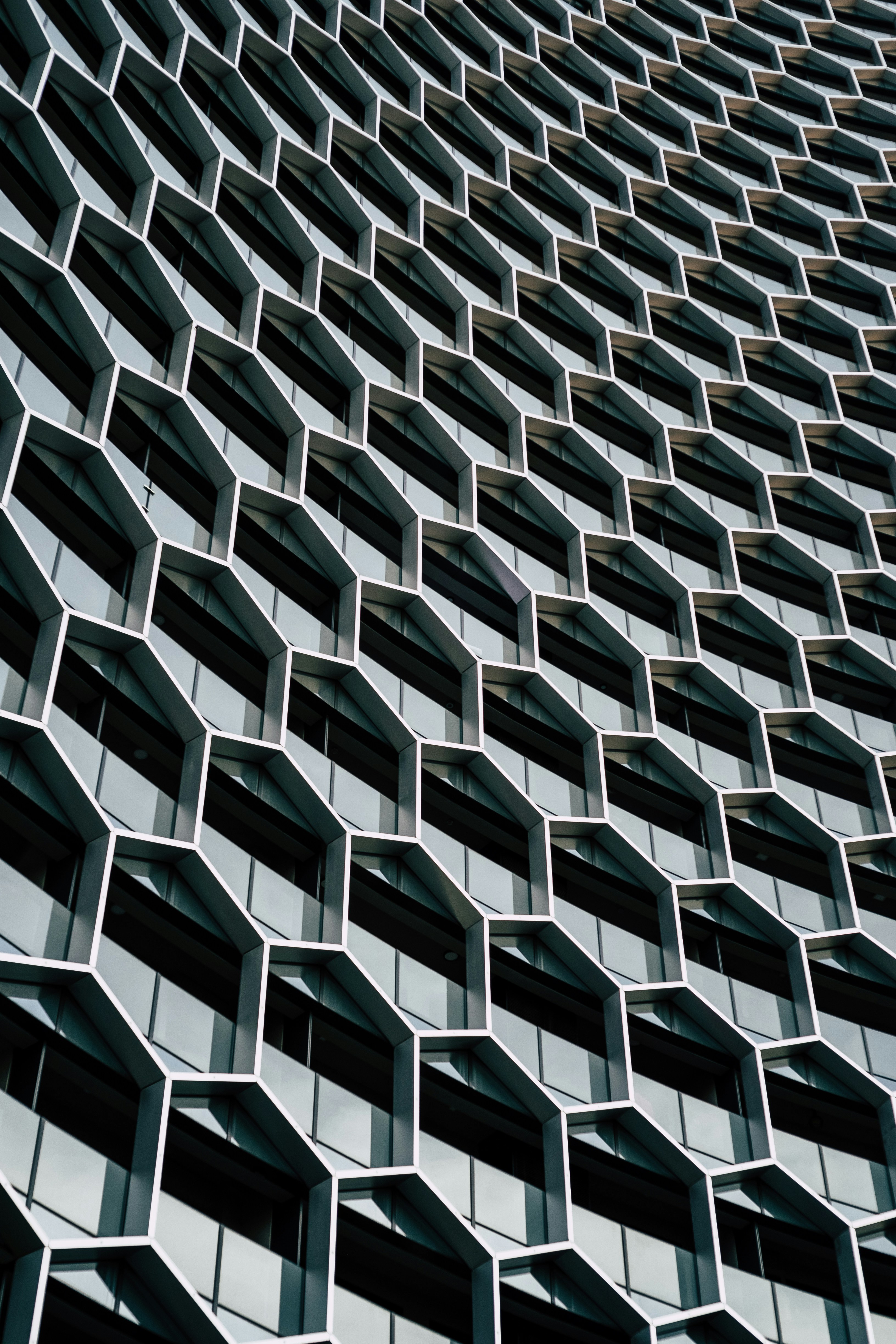 Photo by thecranberryjuice