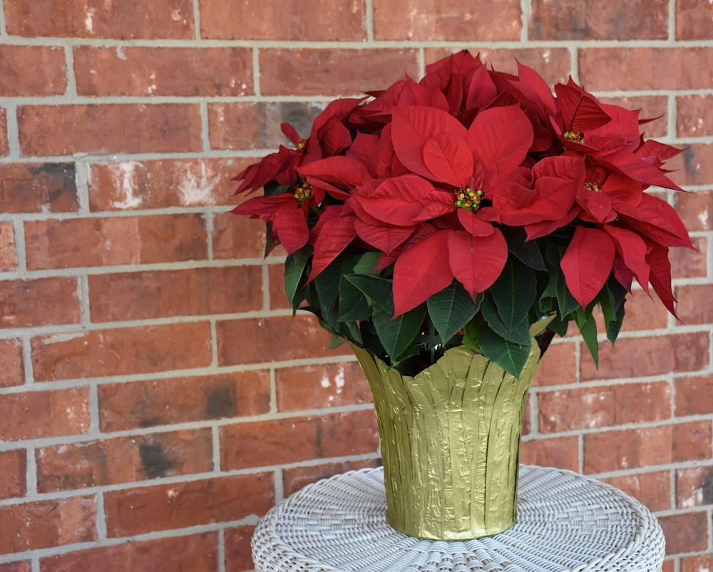 a green vase with red flowers on a table