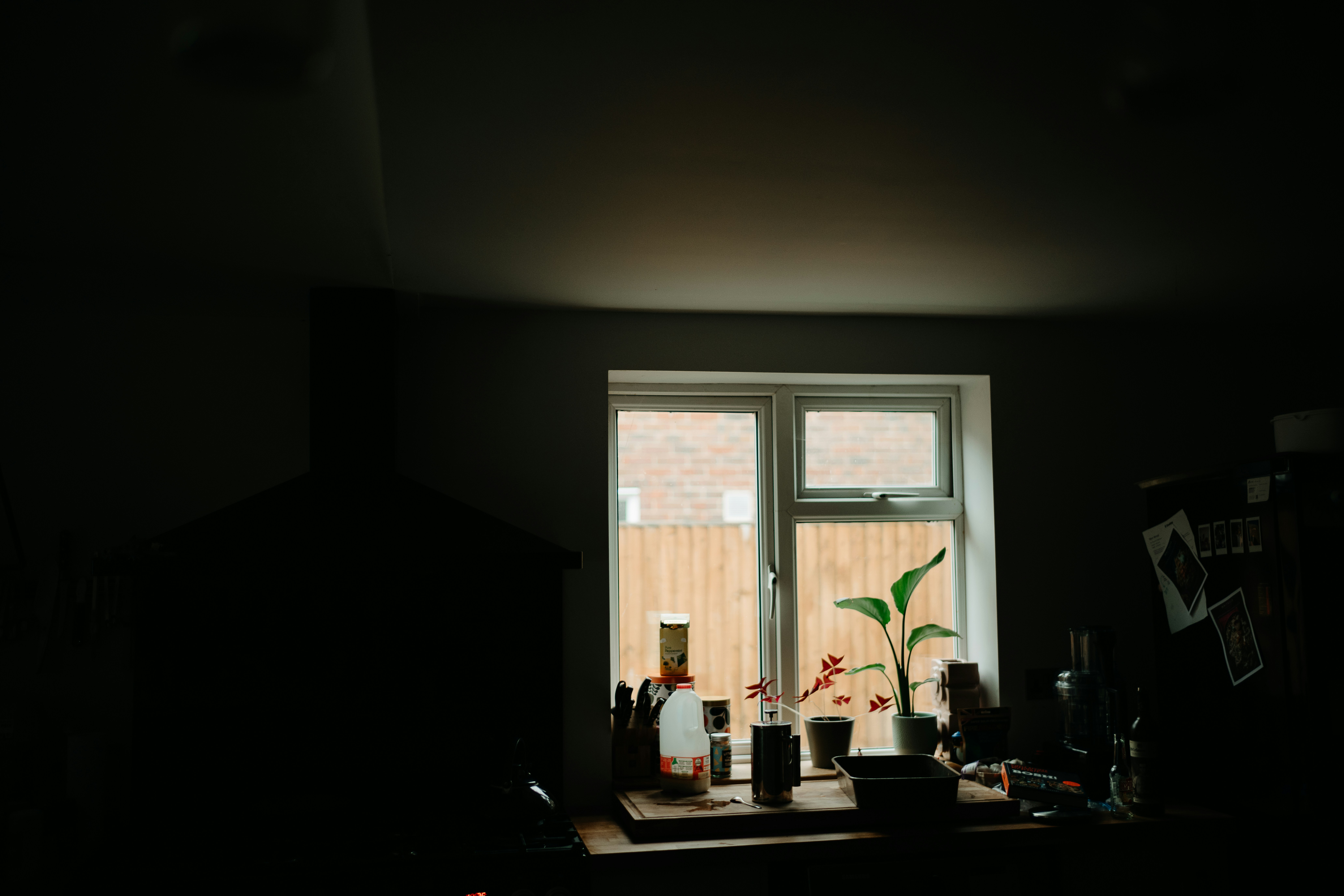 Photo by anniespratt