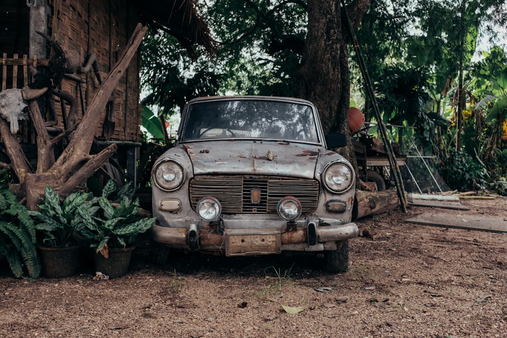 an old car parked in front of a tree