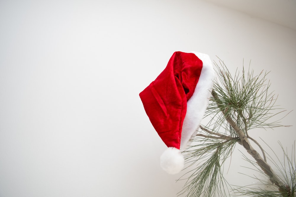 a red santa hat on top of a pine tree