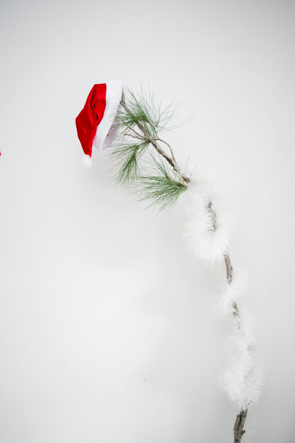 a small pine tree branch with a santa hat on top of it