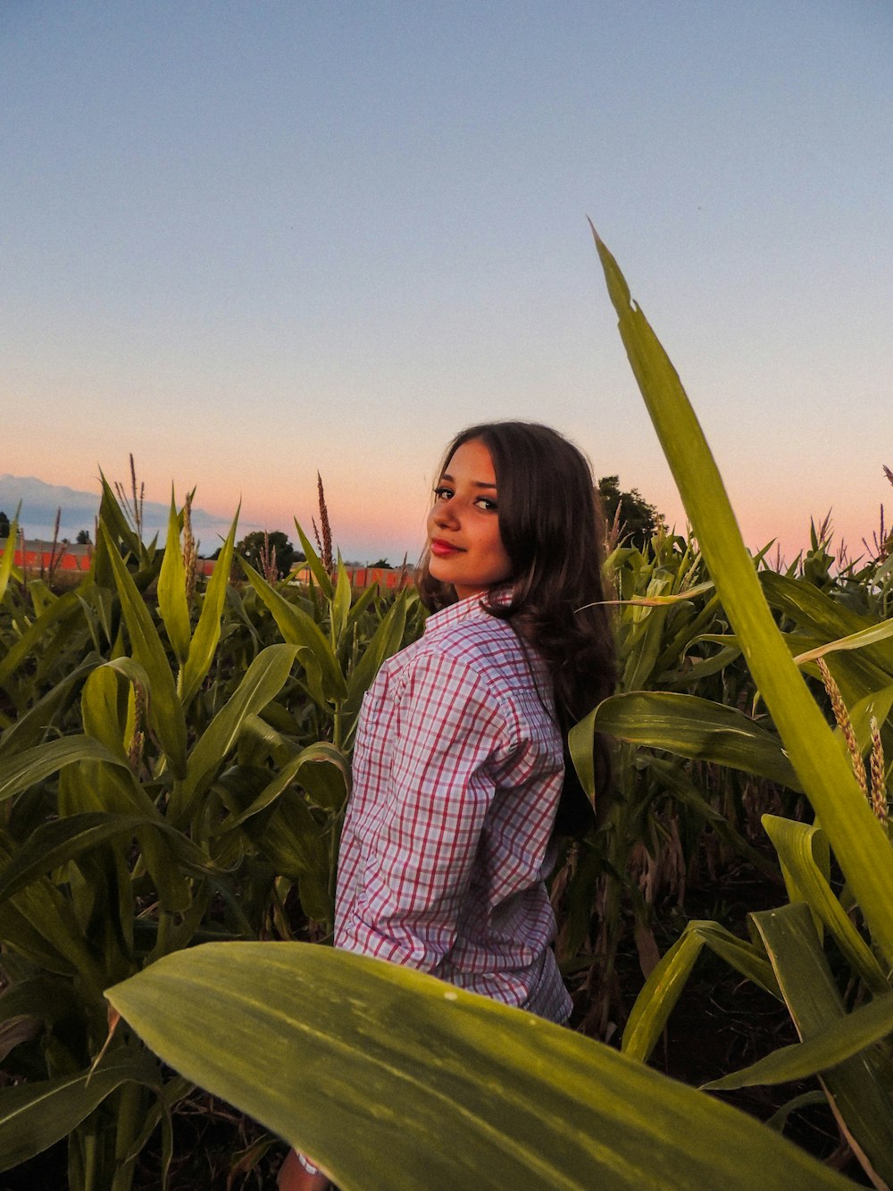 a woman standing in a field of corn