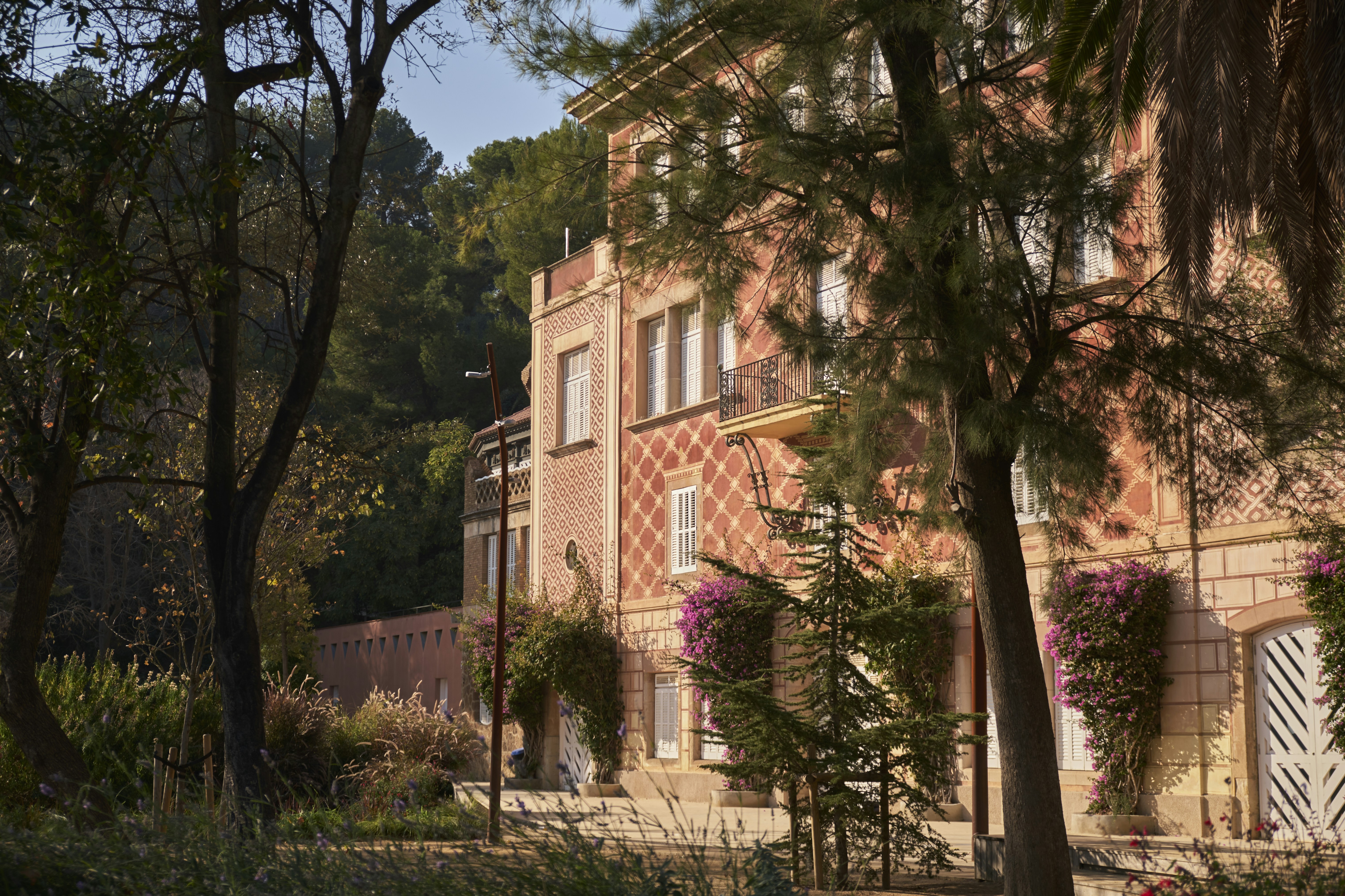 Photo by aleksandar_akr