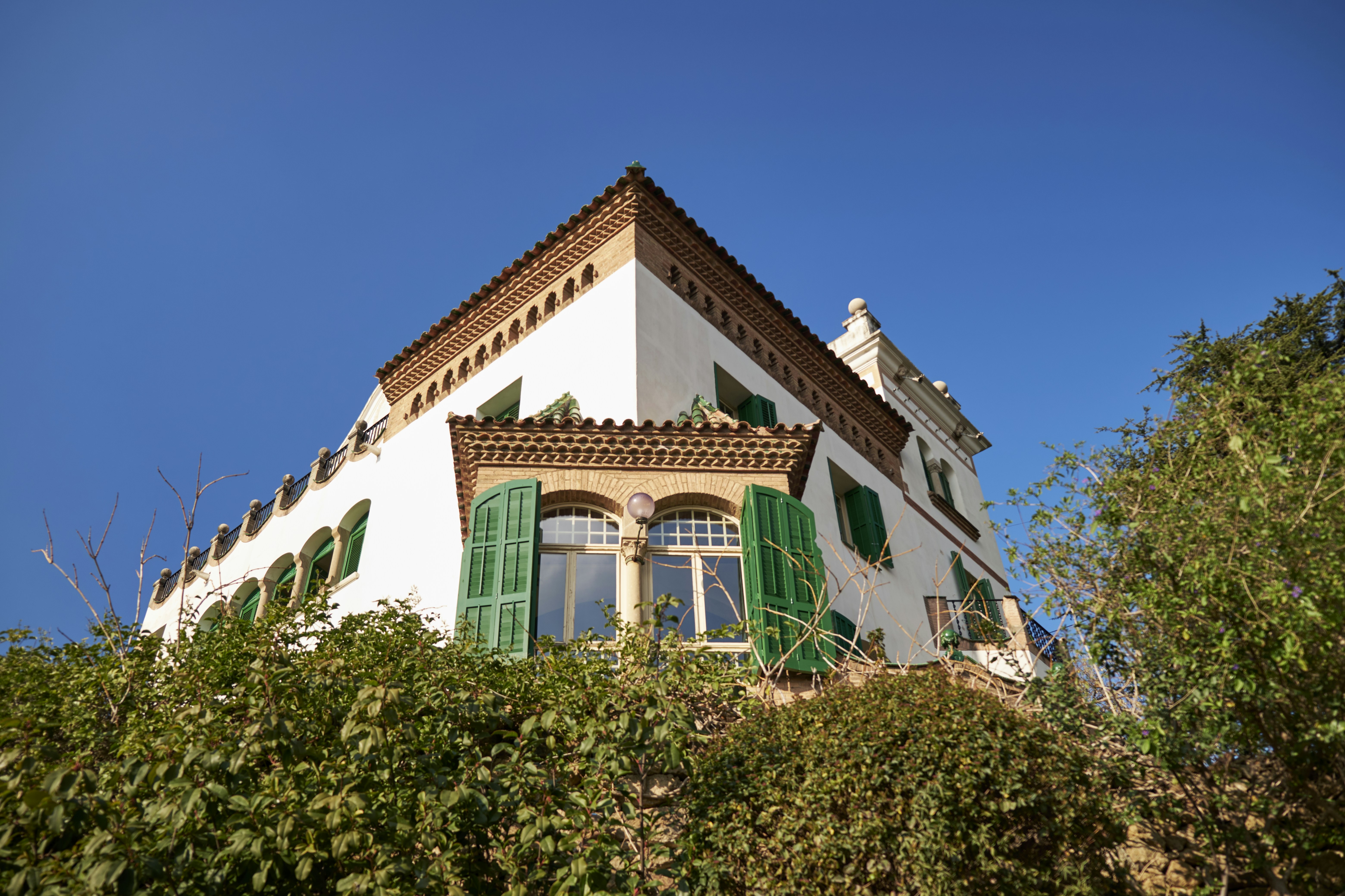 Photo by aleksandar_akr