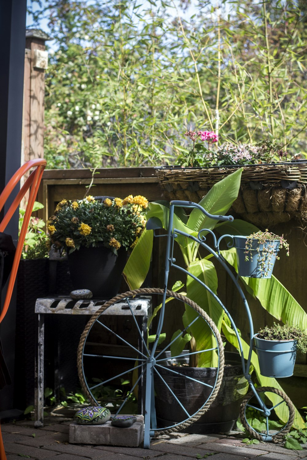 a bicycle parked next to a potted plant