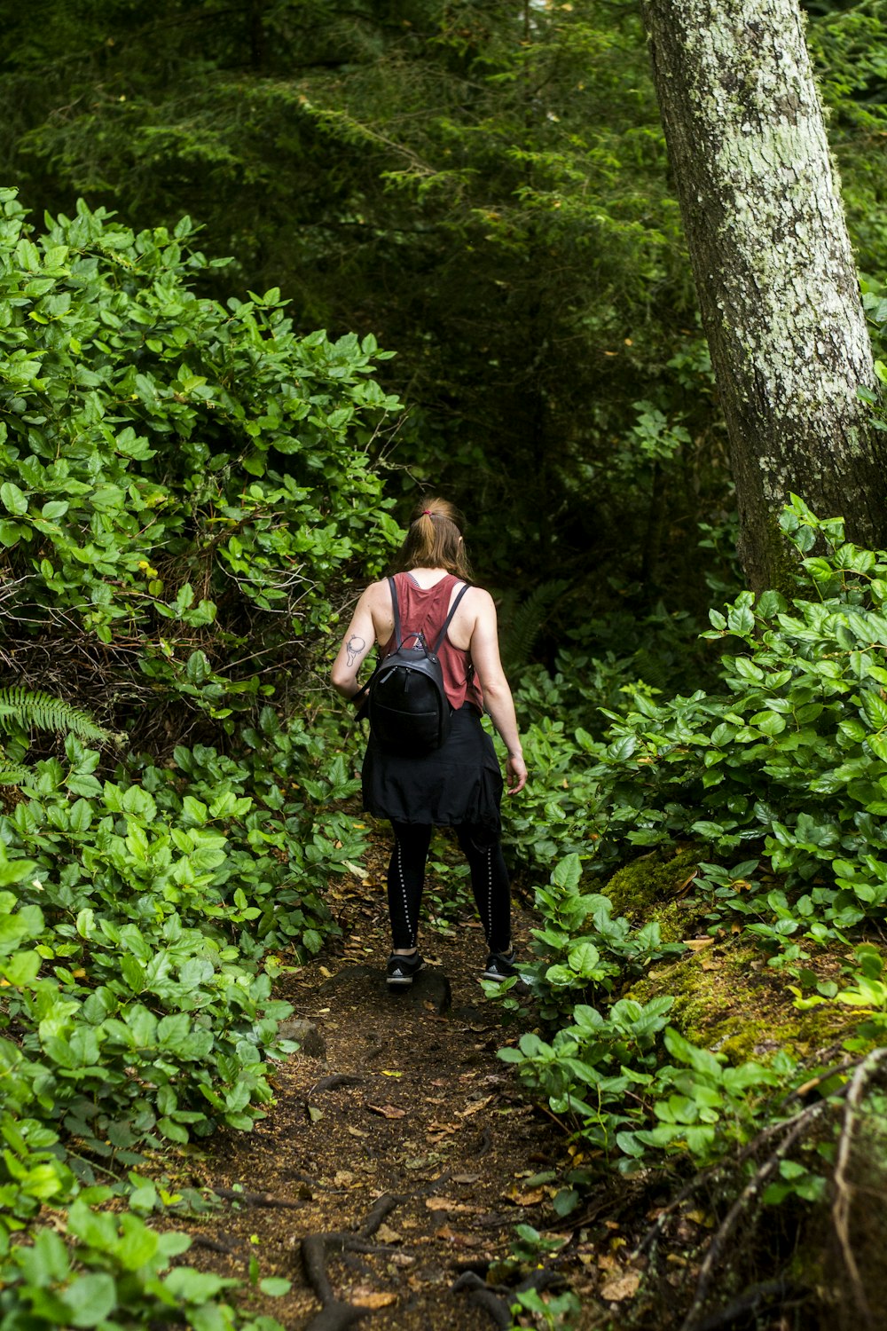 a person with a backpack walking on a trail in the woods