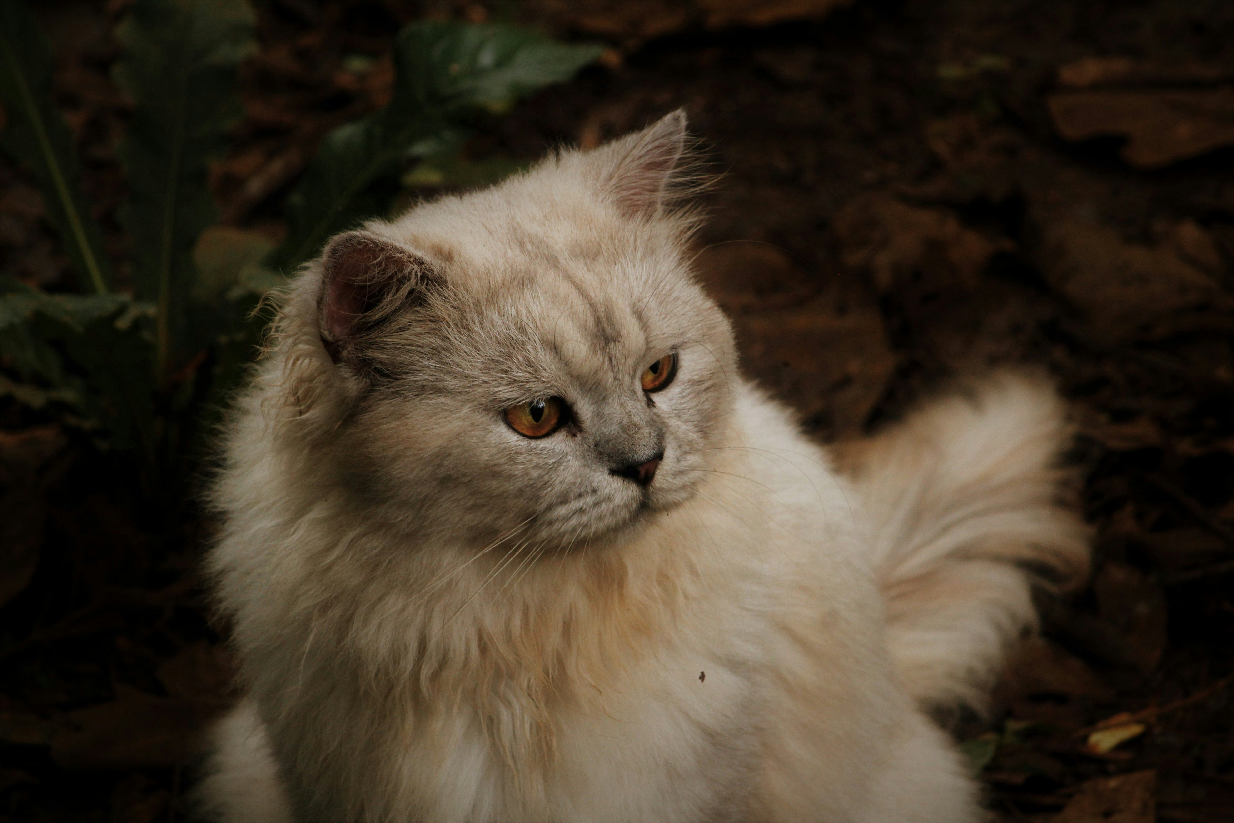 Photo by ricky_fajar_wisnu_adiputra