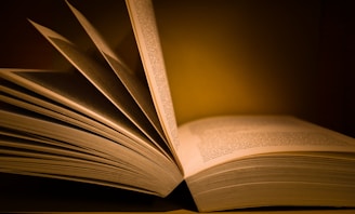 An open book with several pages being flipped, illuminated by a warm light creating a cozy and inviting atmosphere. The text on the pages appears detailed and the book is positioned in a slightly tilted angle.