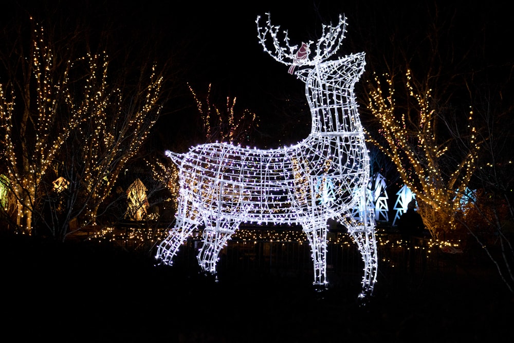 a lighted deer in a yard at night