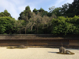 A serene Japanese rock garden with raked gravel and smooth stones under soft morning mist.