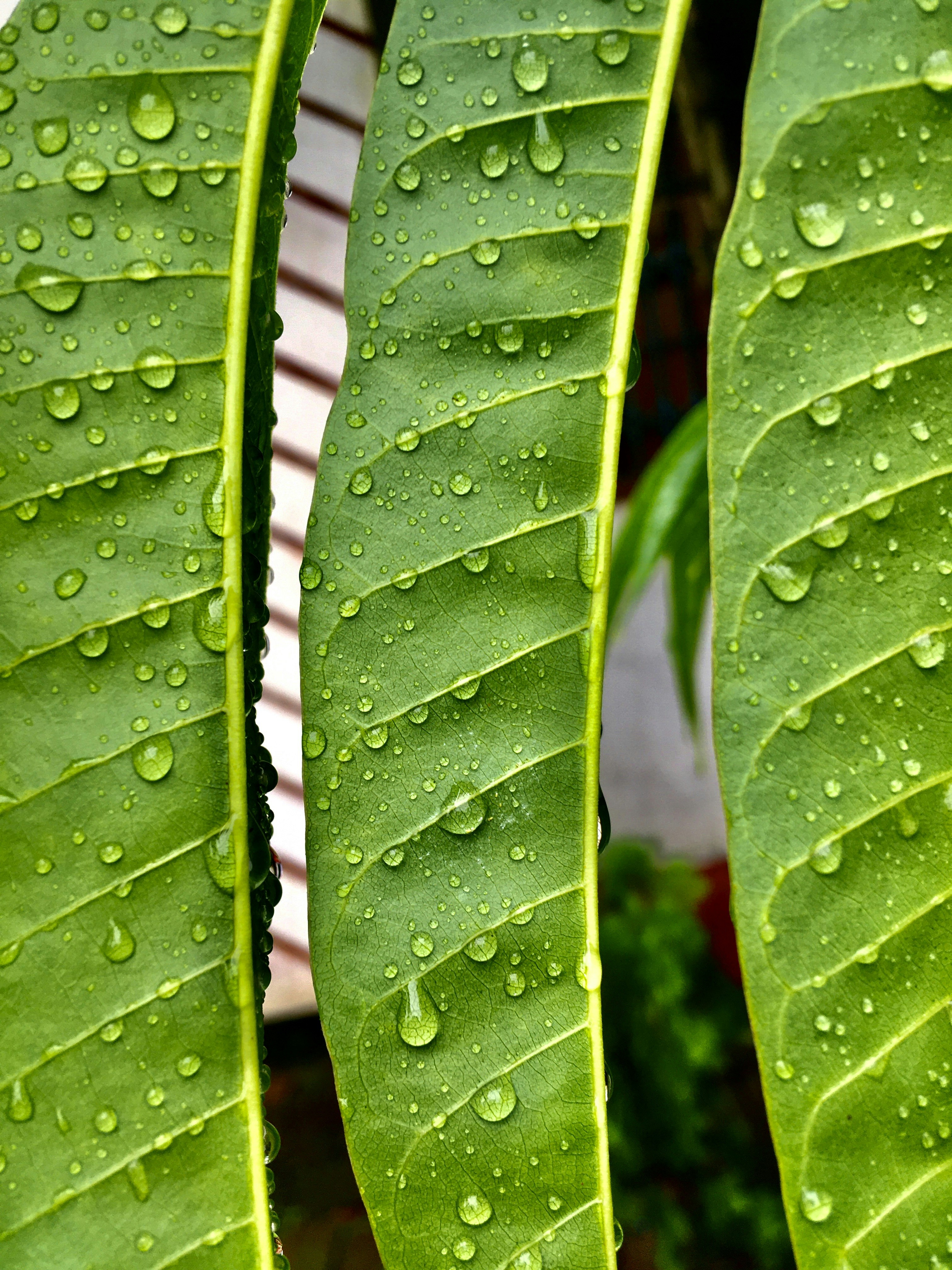 Photo by ghulamkhairulbashar