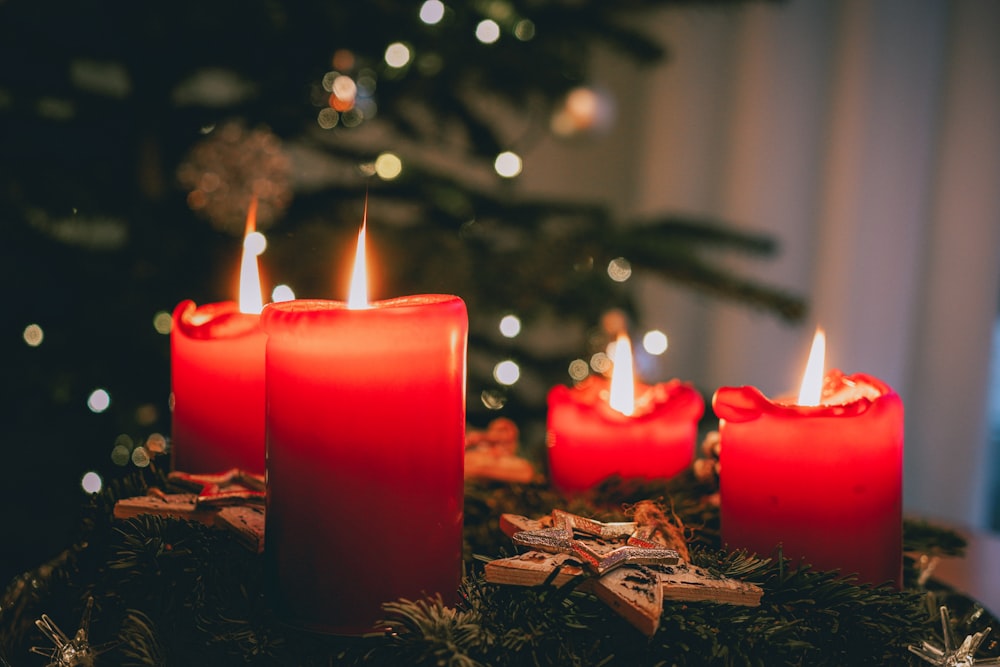 a group of red candles sitting on top of a christmas tree