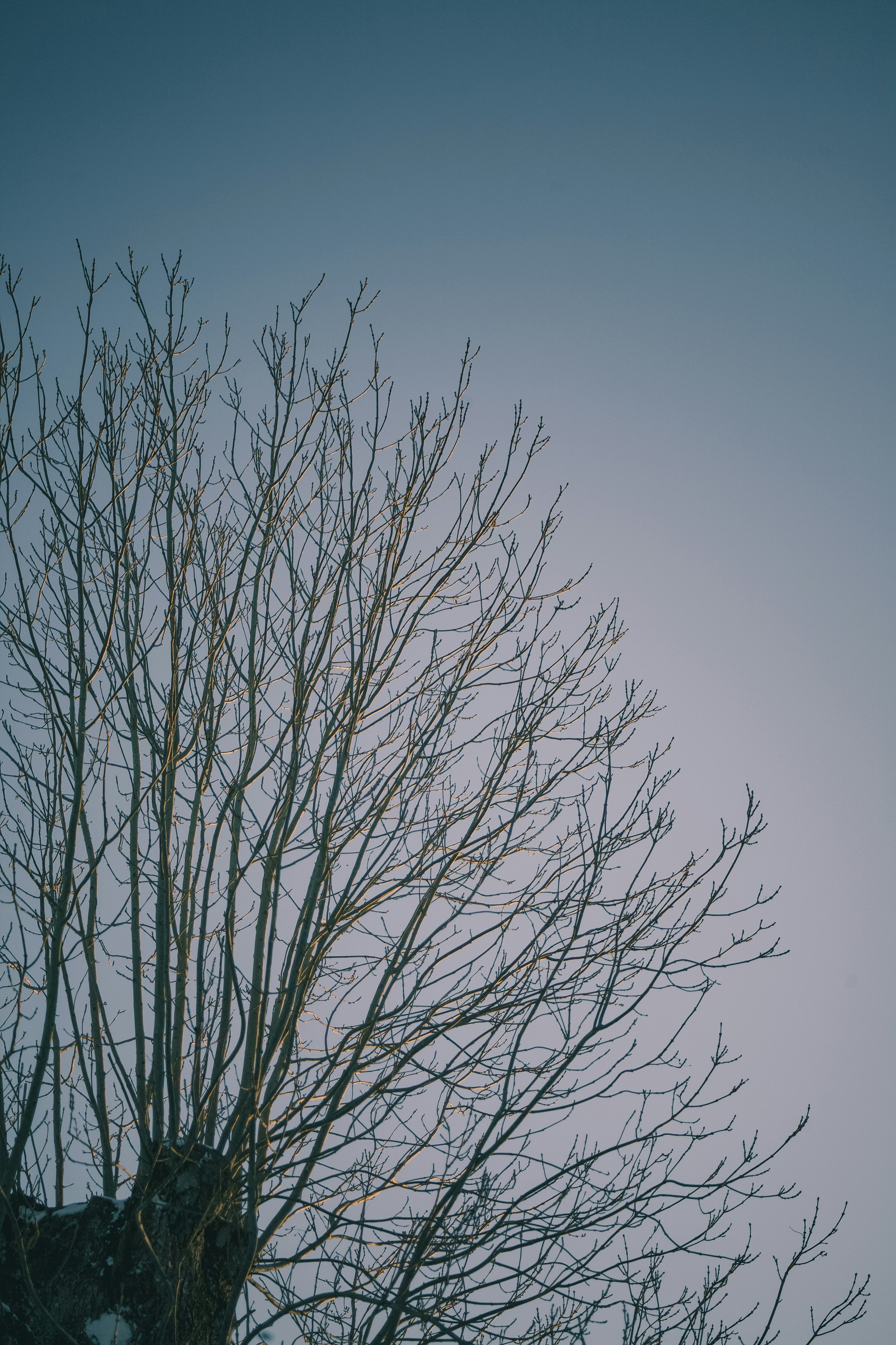 Photo by karthickgislen