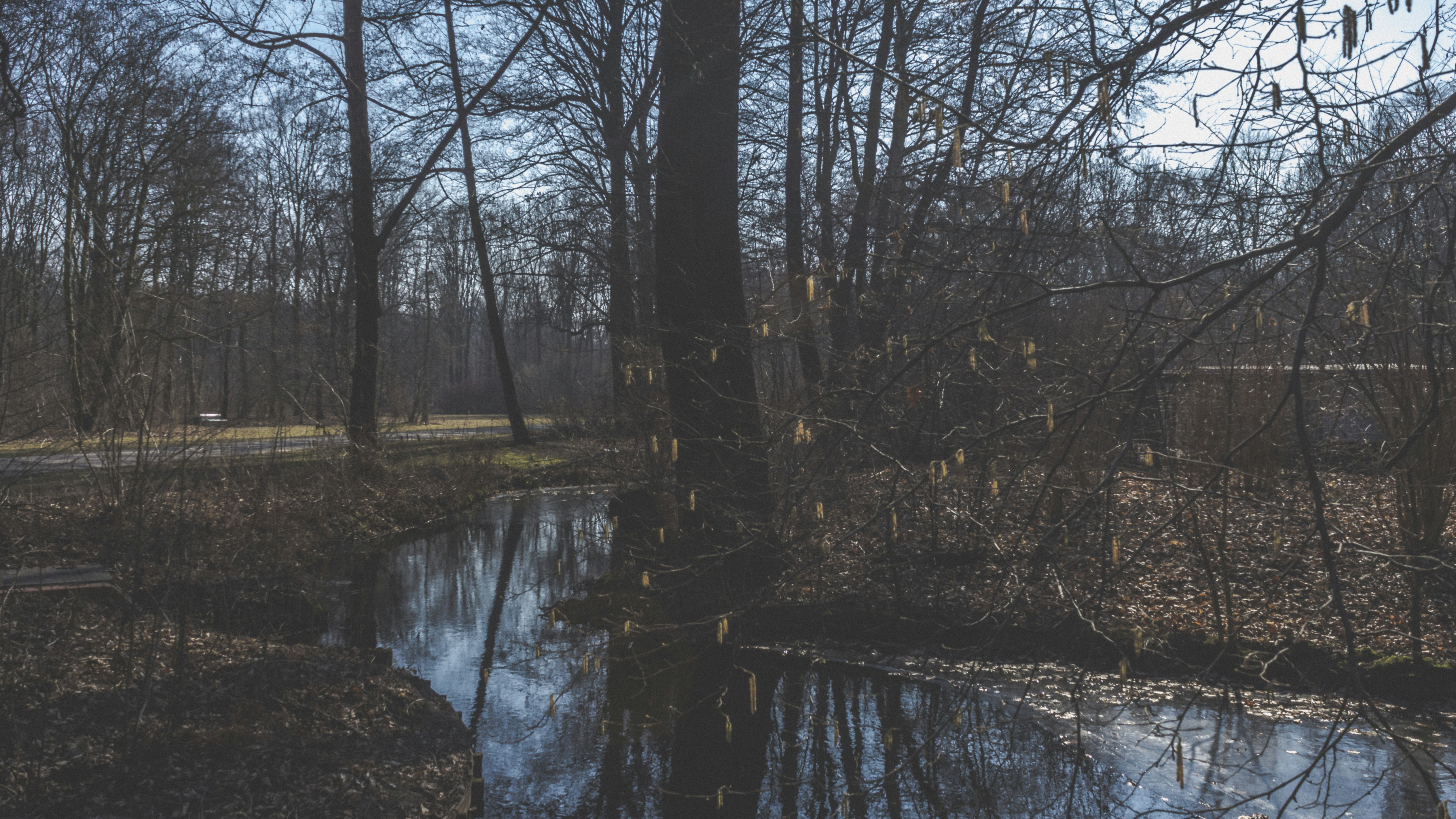 Photo by serenaclerio