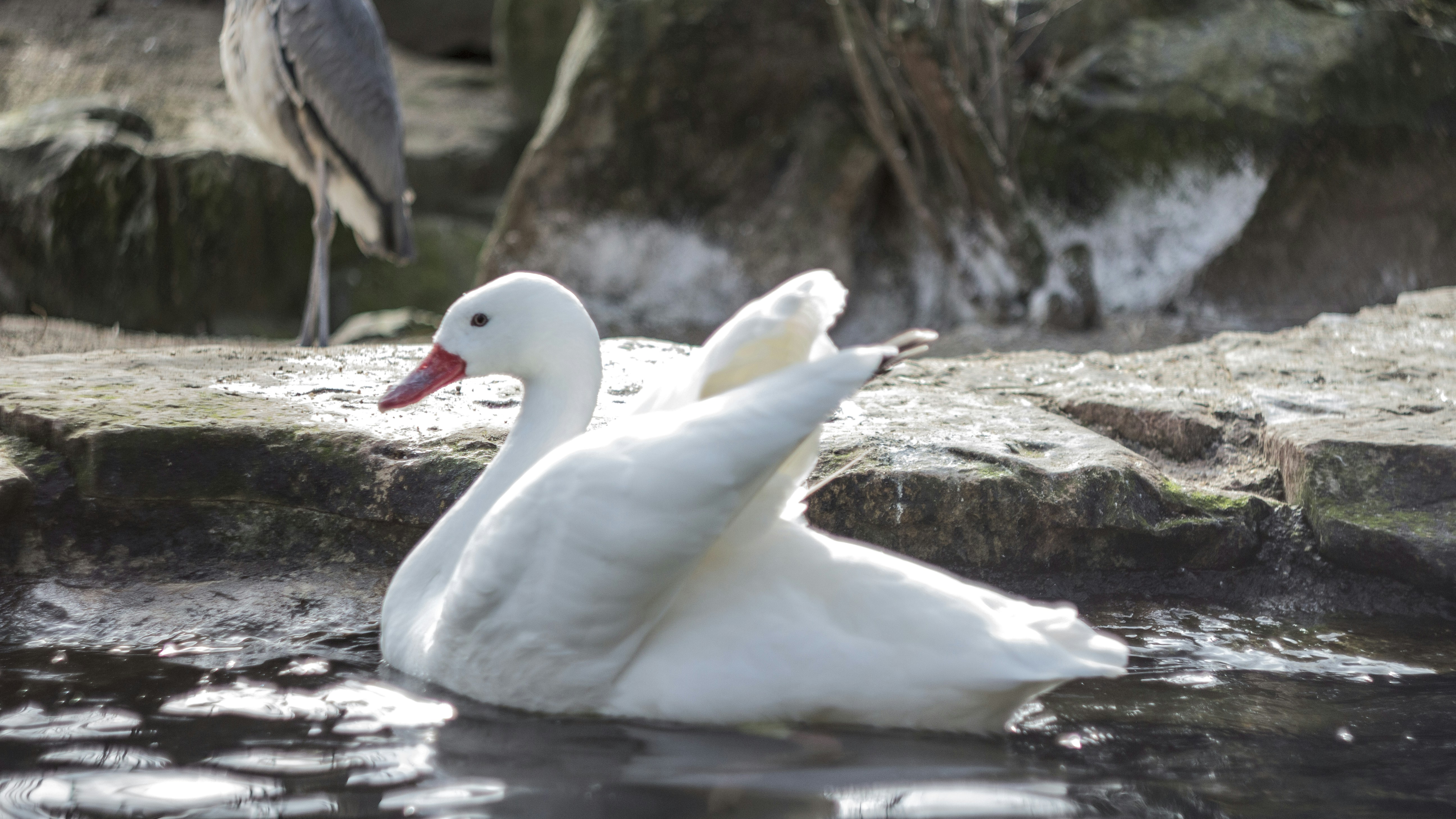 Photo by serenaclerio