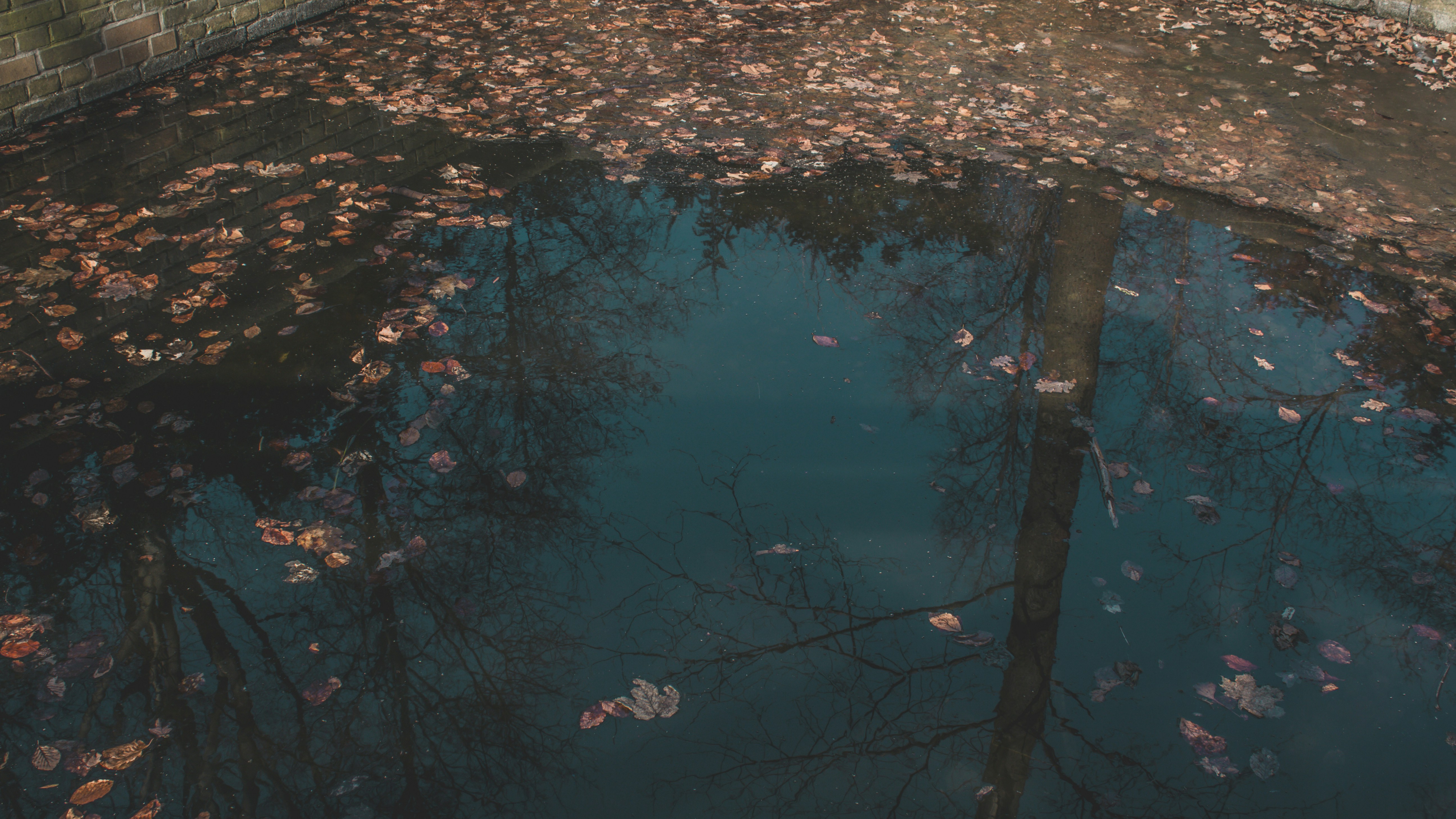 Photo by serenaclerio