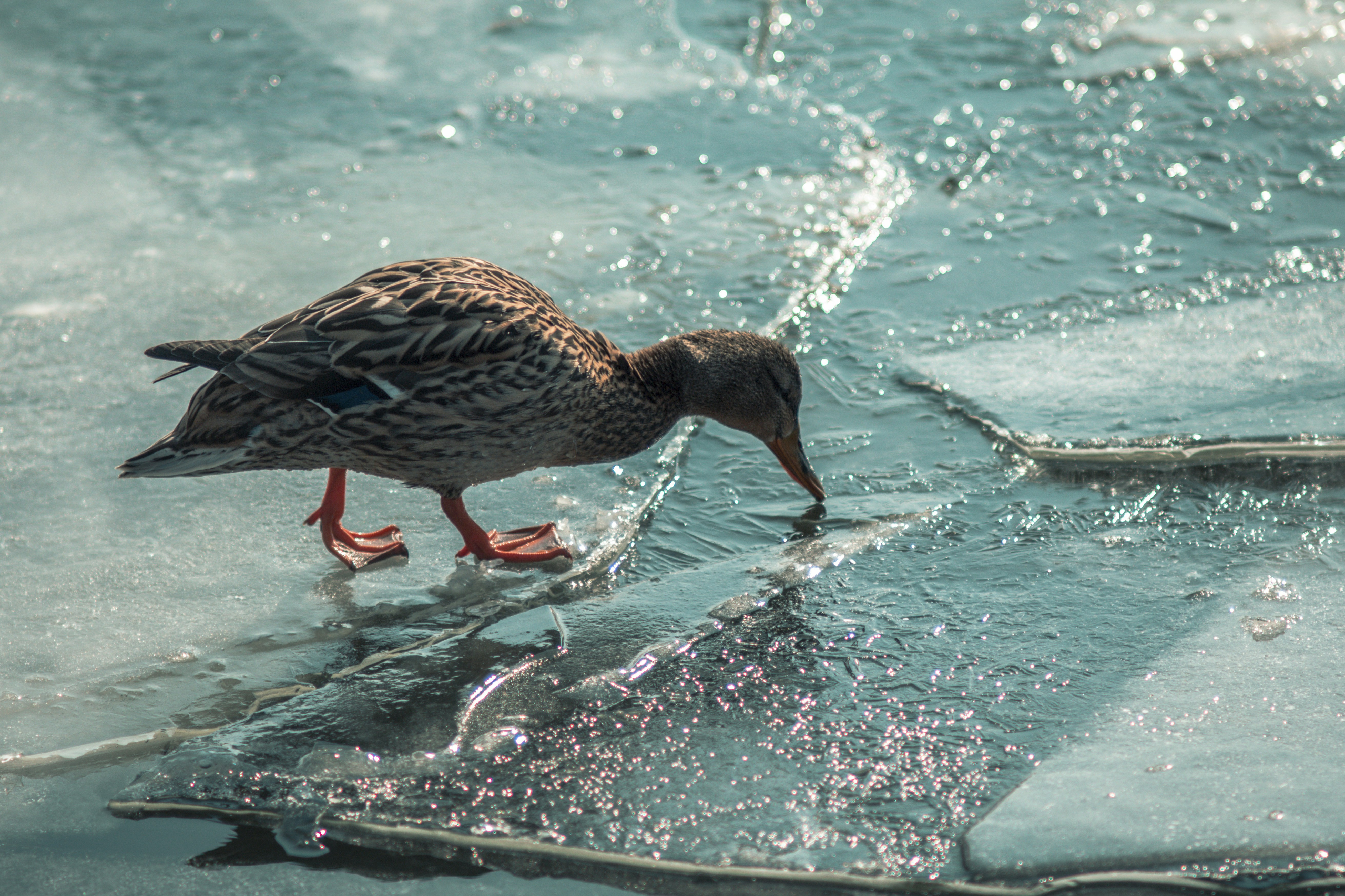 Photo by serenaclerio