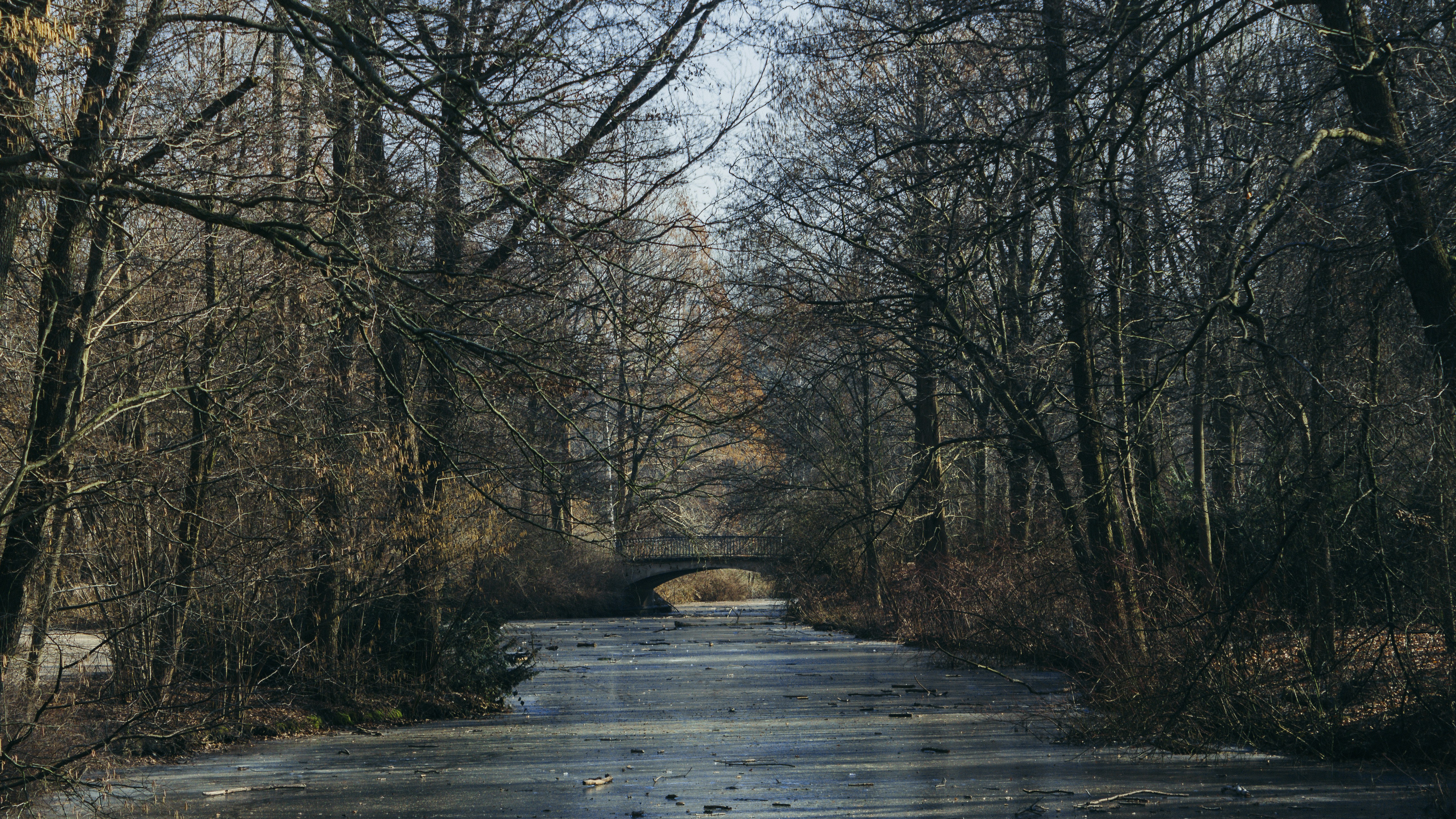 Photo by serenaclerio