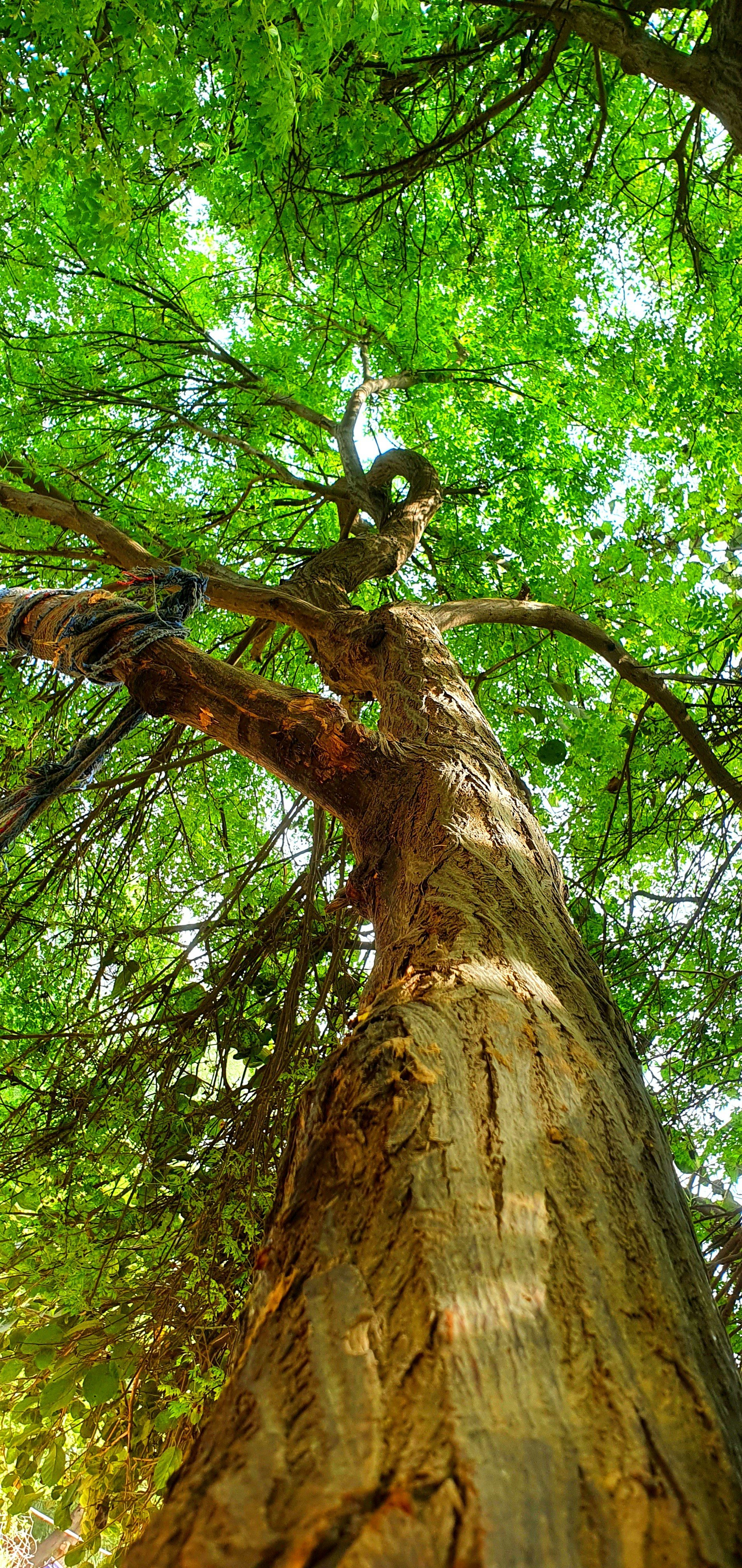 Photo by umair_arshad