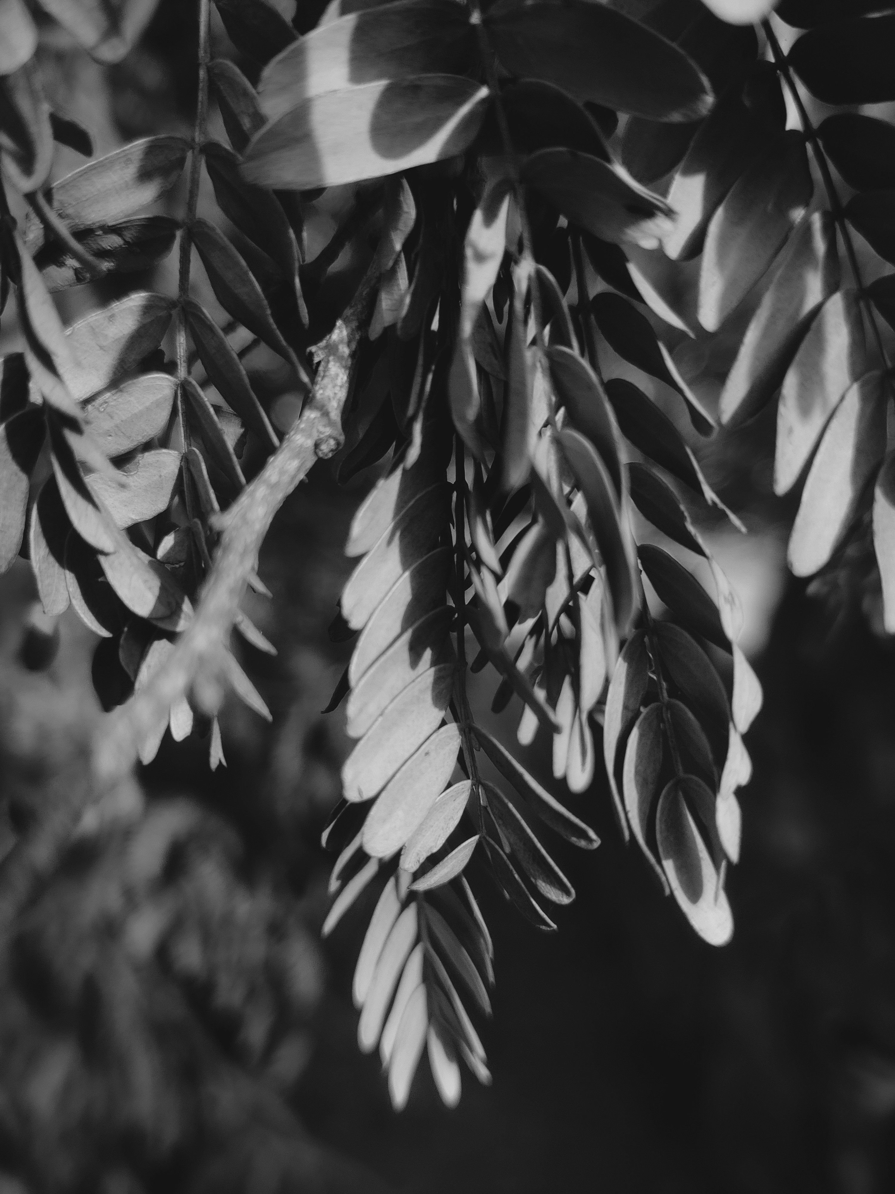 Photo by utkarxhrathore