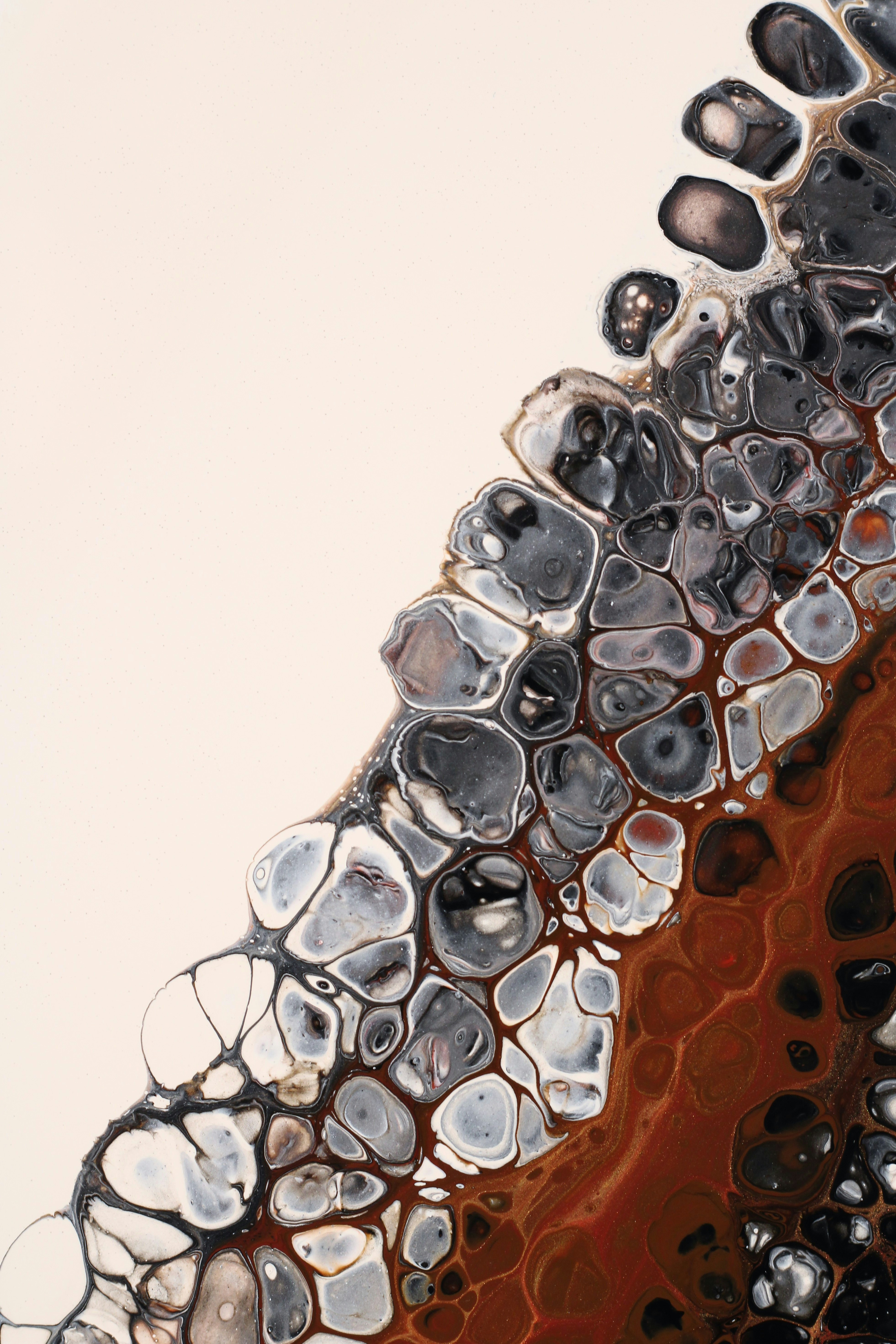 Photo by susan_wilkinson