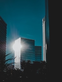 A modern city skyline with high-rise buildings reflecting sunlight.
