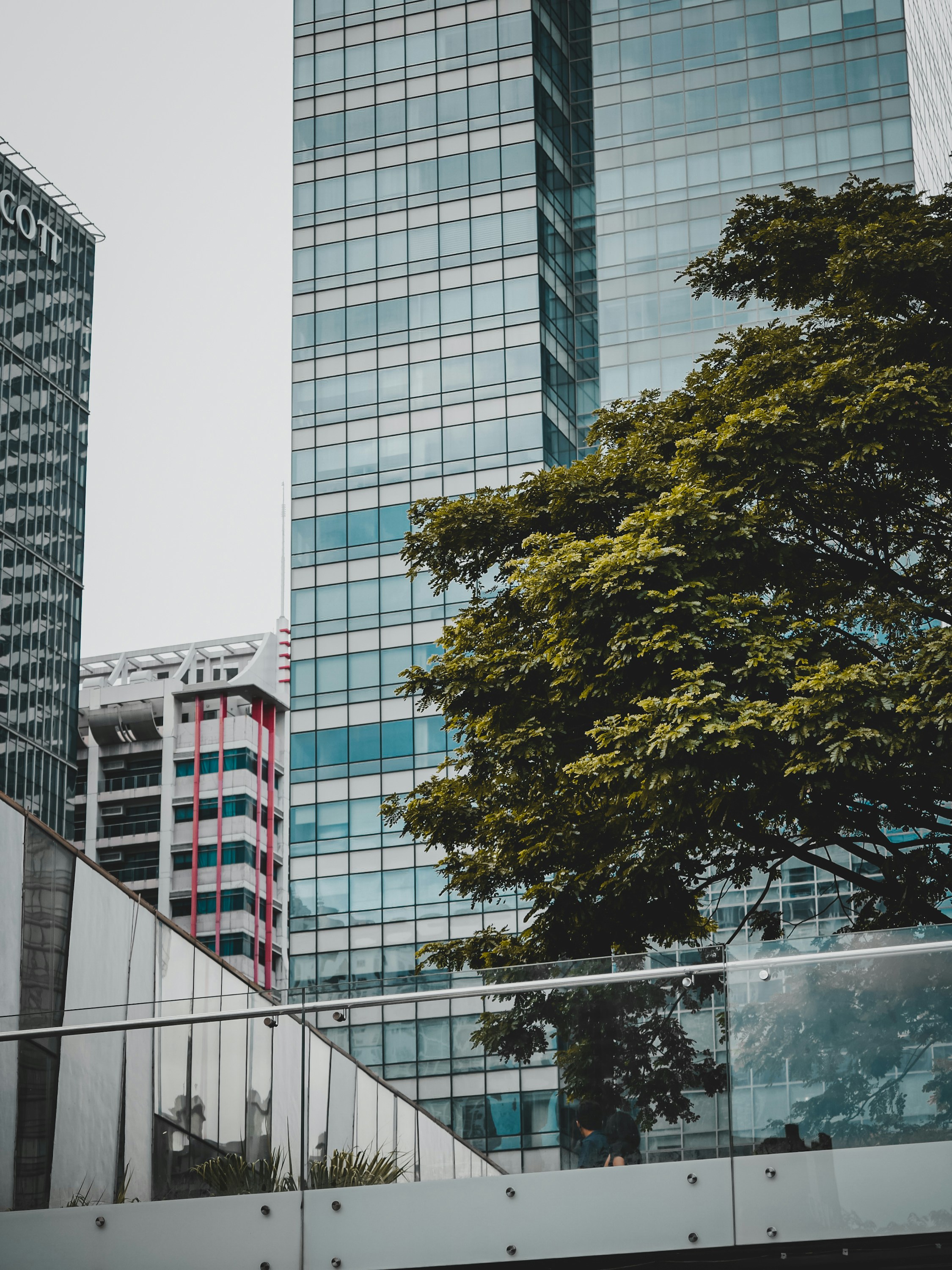 Photo by shotssbyluna