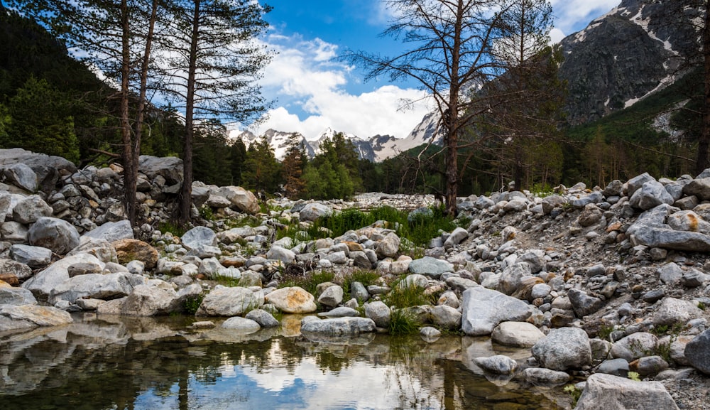 a small pond surrounded by rocks and trees