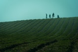 A diverse team of workers walking confidently on a farm path at sunrise