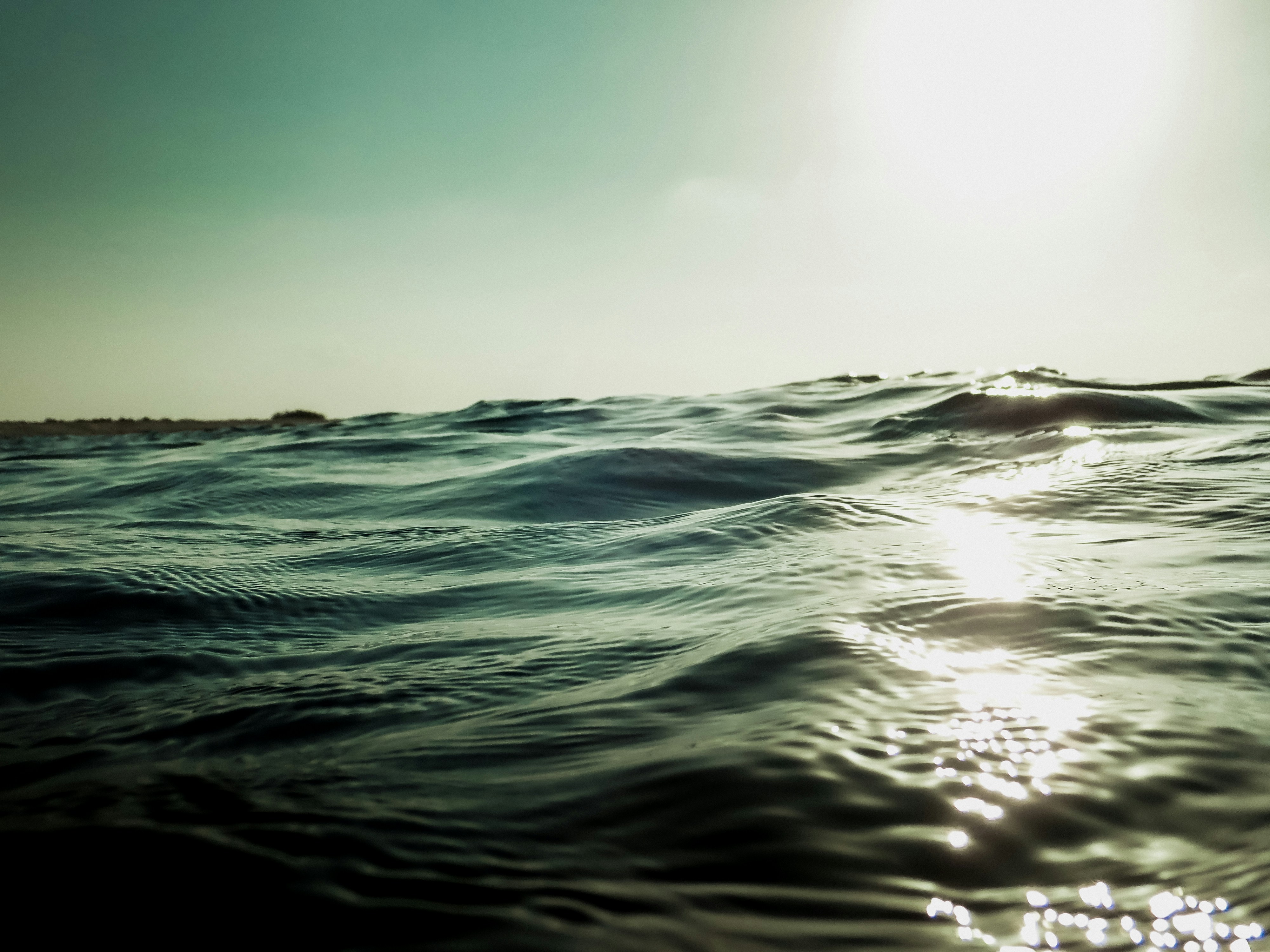 Photo by francesco_ungaro