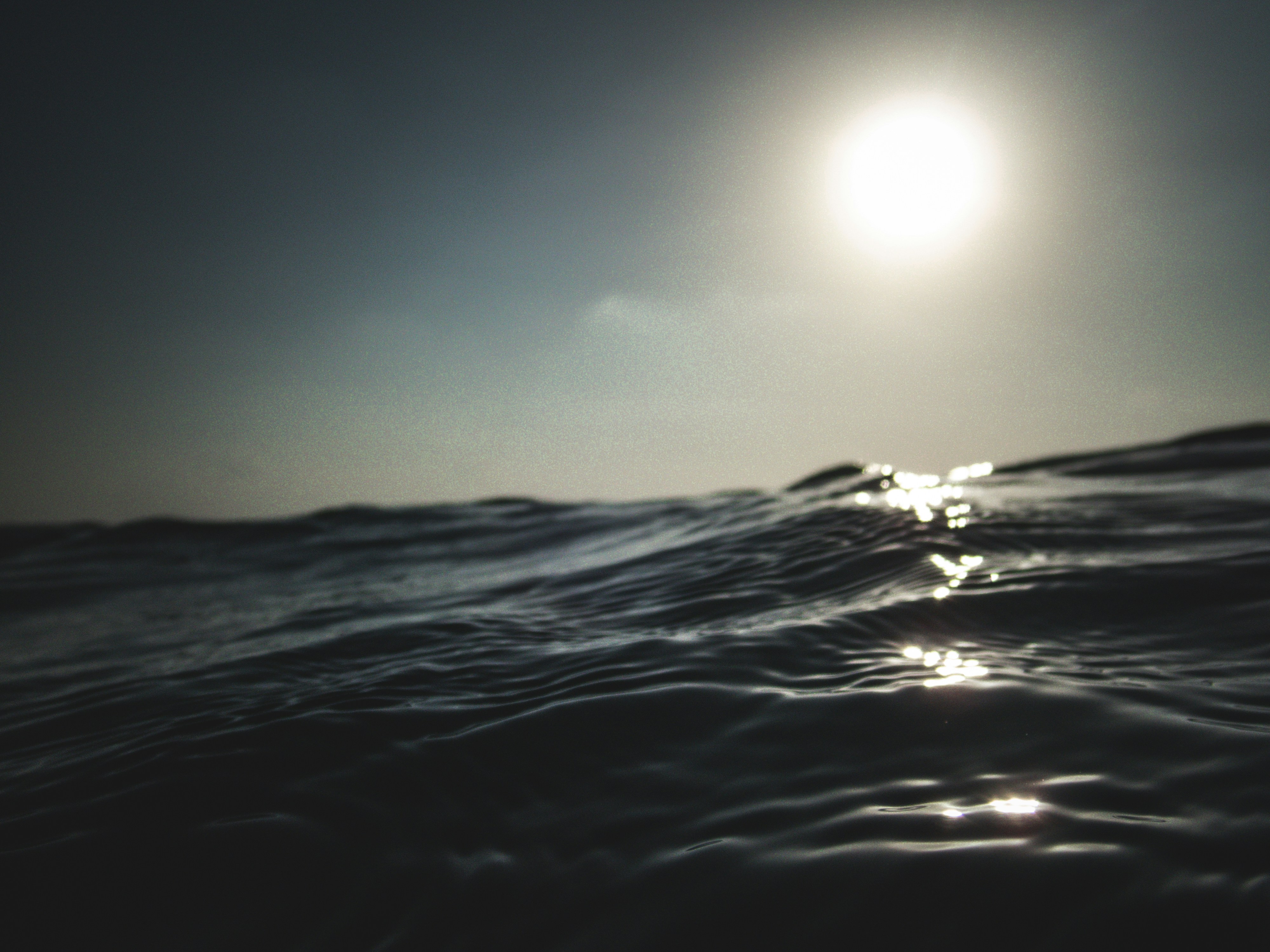 Photo by francesco_ungaro