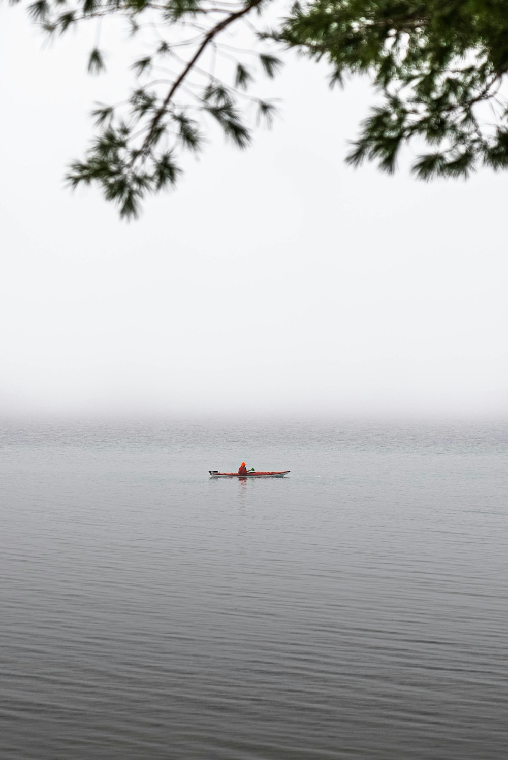 Eine Person in einem Kanu an einem nebligen Tag