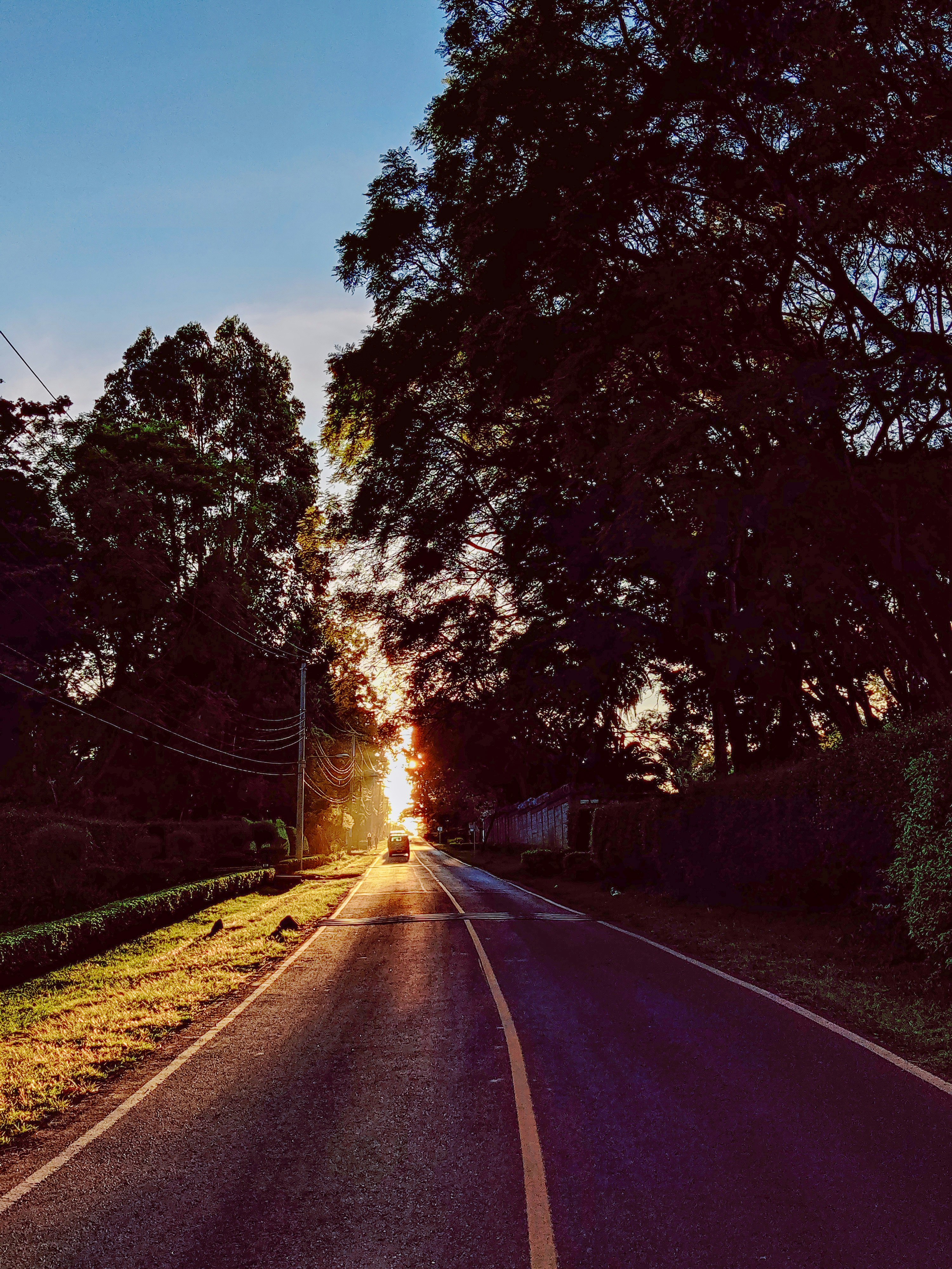 Photo by jaydavdra12