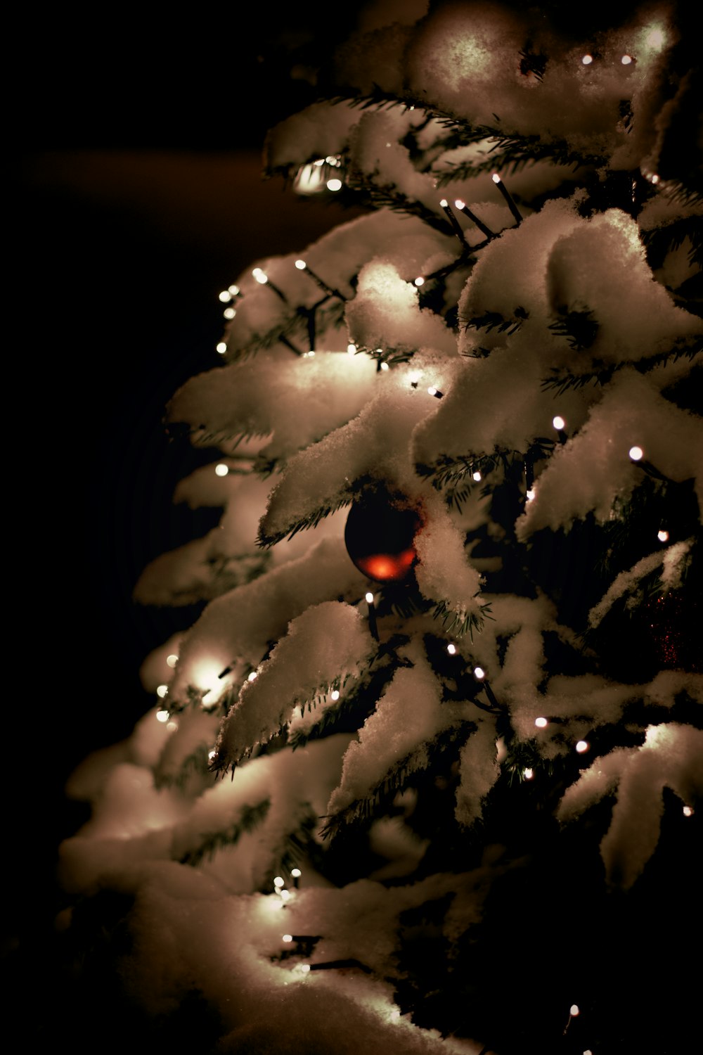 a christmas tree in the dark