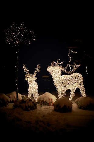 3D LED Christmas reindeer figure standing in a snowy garden illuminated with colorful lights
