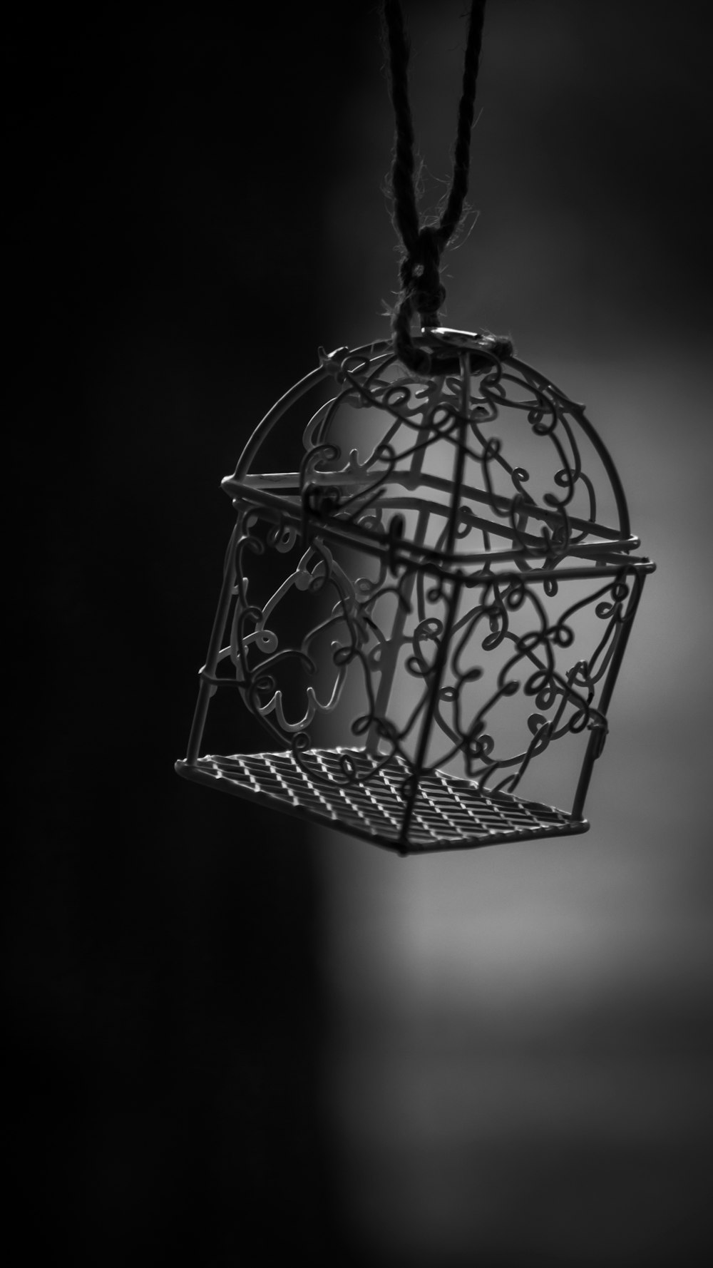 a black and white photo of a bird cage